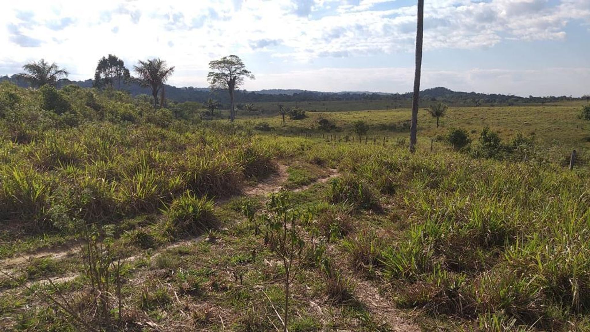 Otro en Aripuana, Mato Grosso 11953226