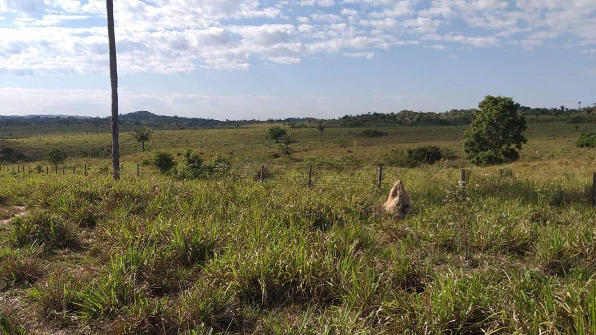 Andere in Aripuana, Mato Grosso 11953226