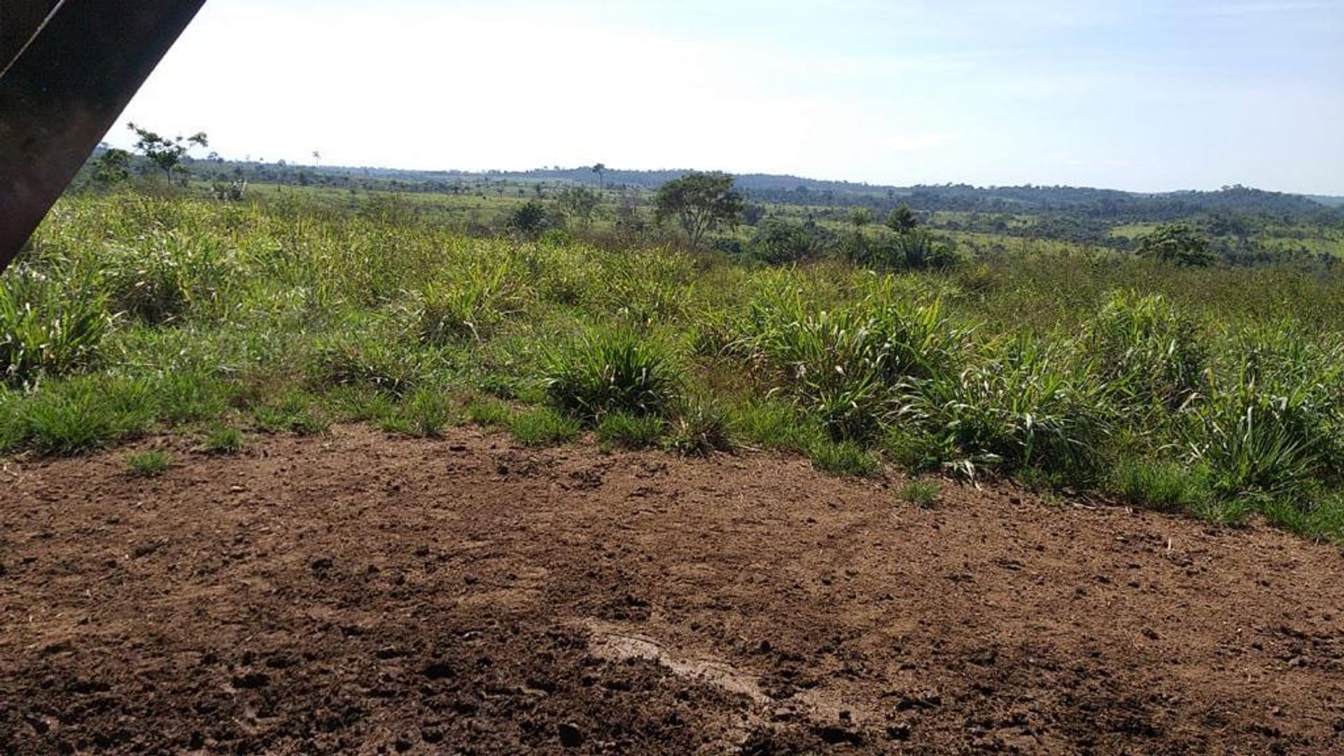 Autre dans Aripuana, Mato Grosso 11953226