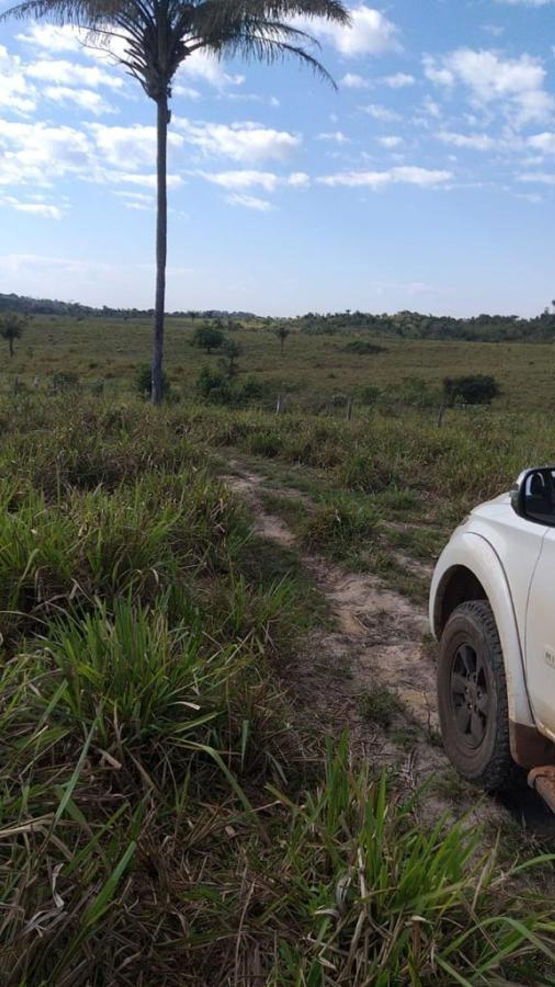 Autre dans , State of Mato Grosso 11953226