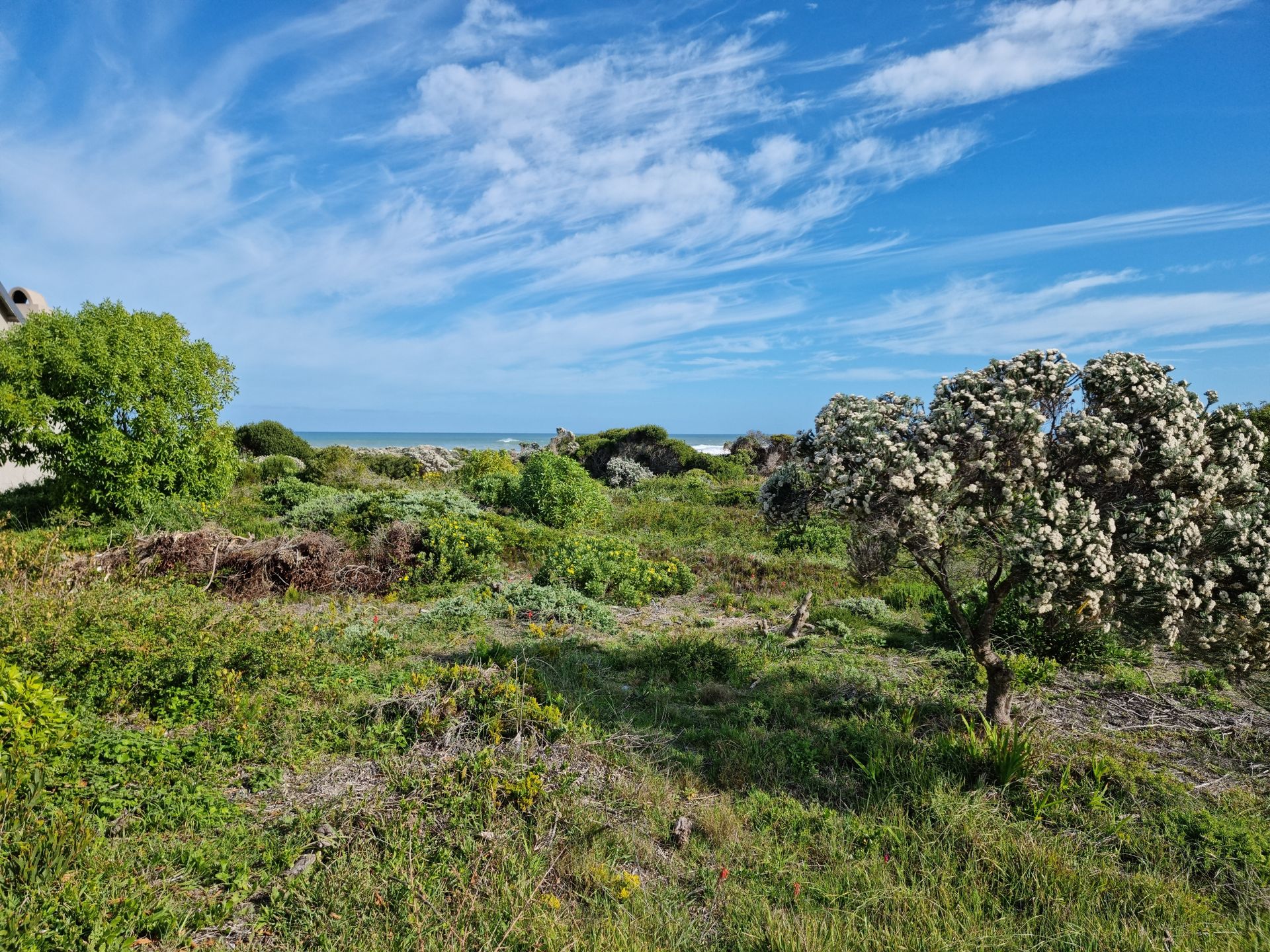 Land in Parelachtig strand, westerse Cape 11953229