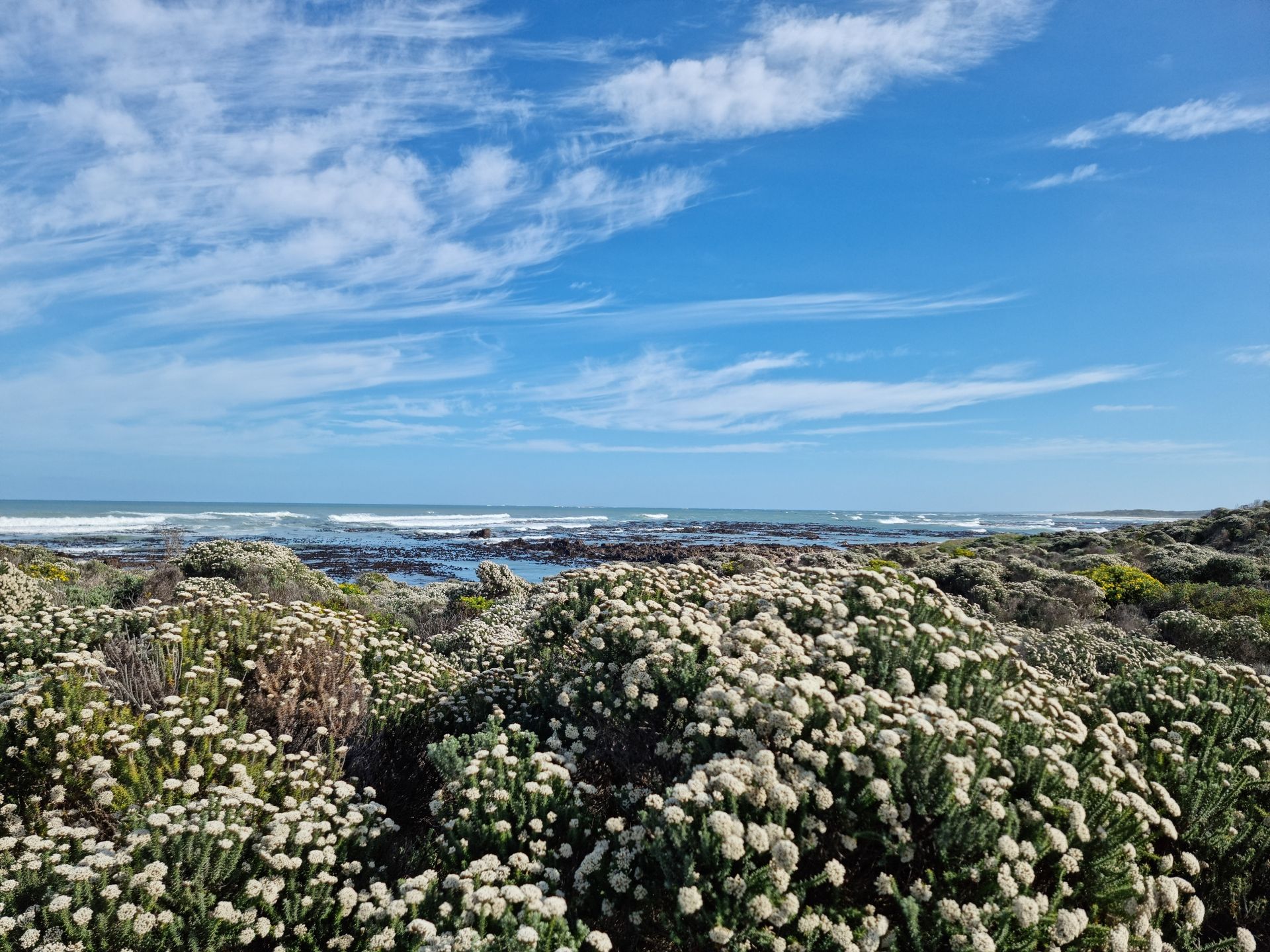 土地 在 Pearly Beach, Western Cape 11953229