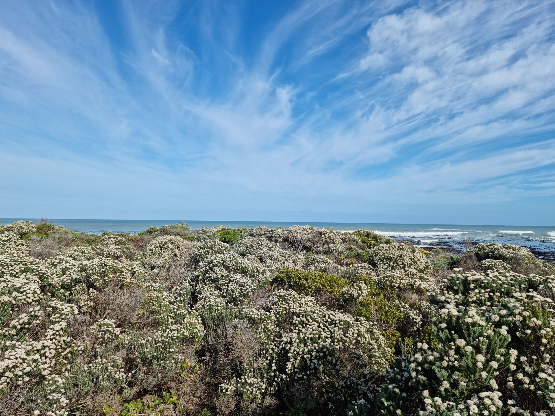 土地 在 Pearly Beach, Western Cape 11953229