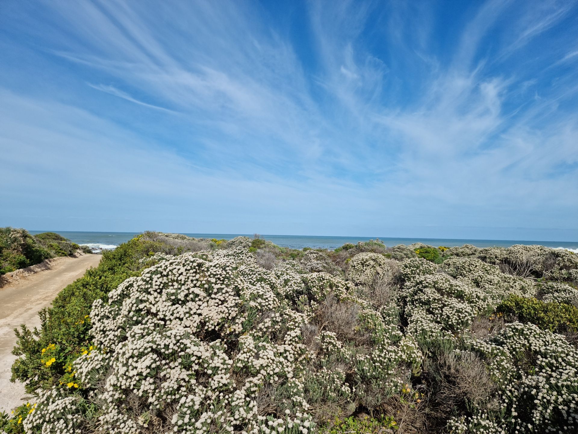 Land i Pearly Beach, Western Cape 11953229