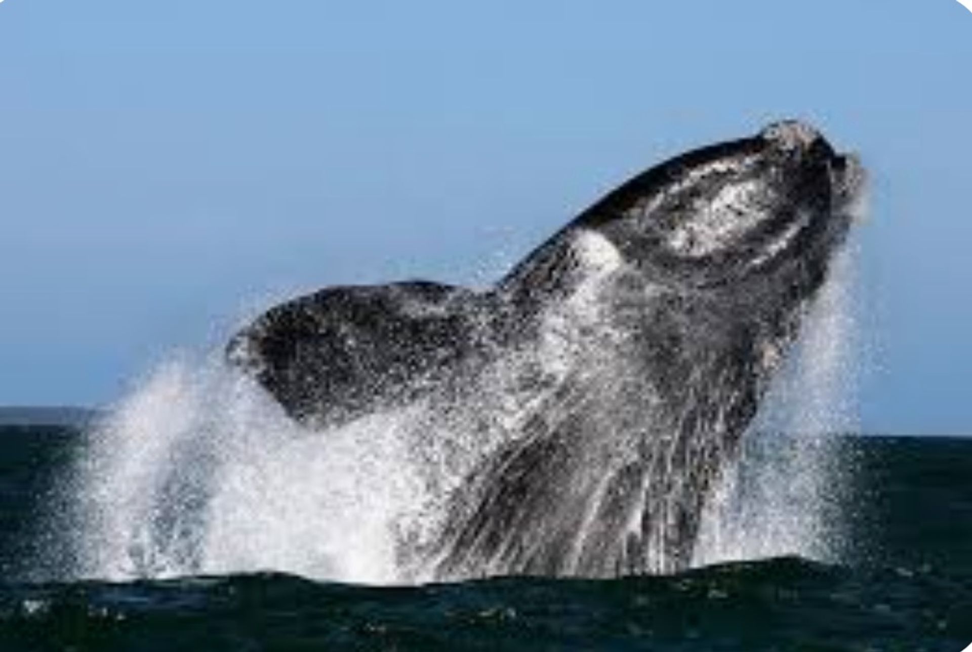 Земля в Pearly Beach, Western Cape 11953229