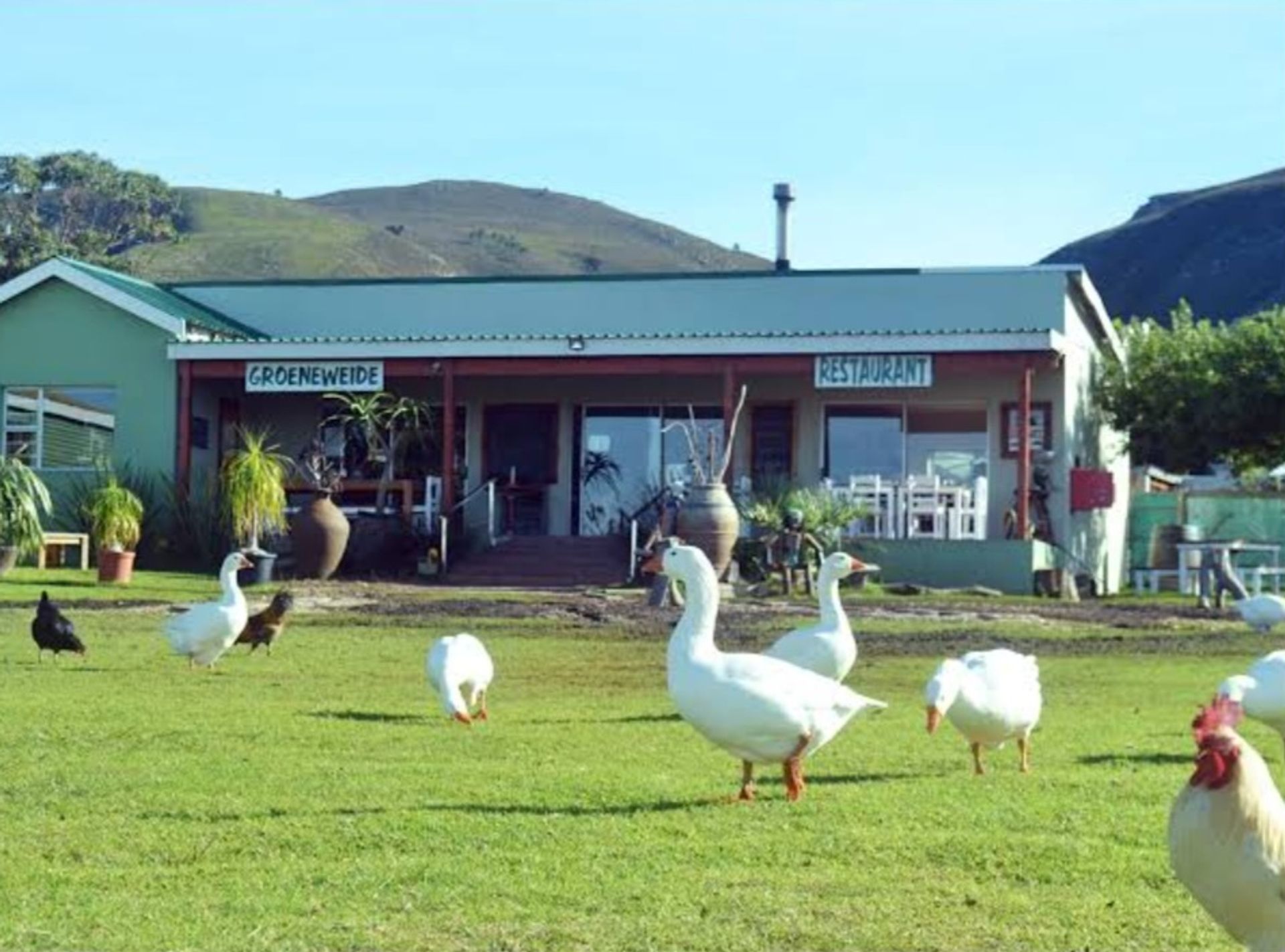 Land i Pearly Beach, Western Cape 11953229