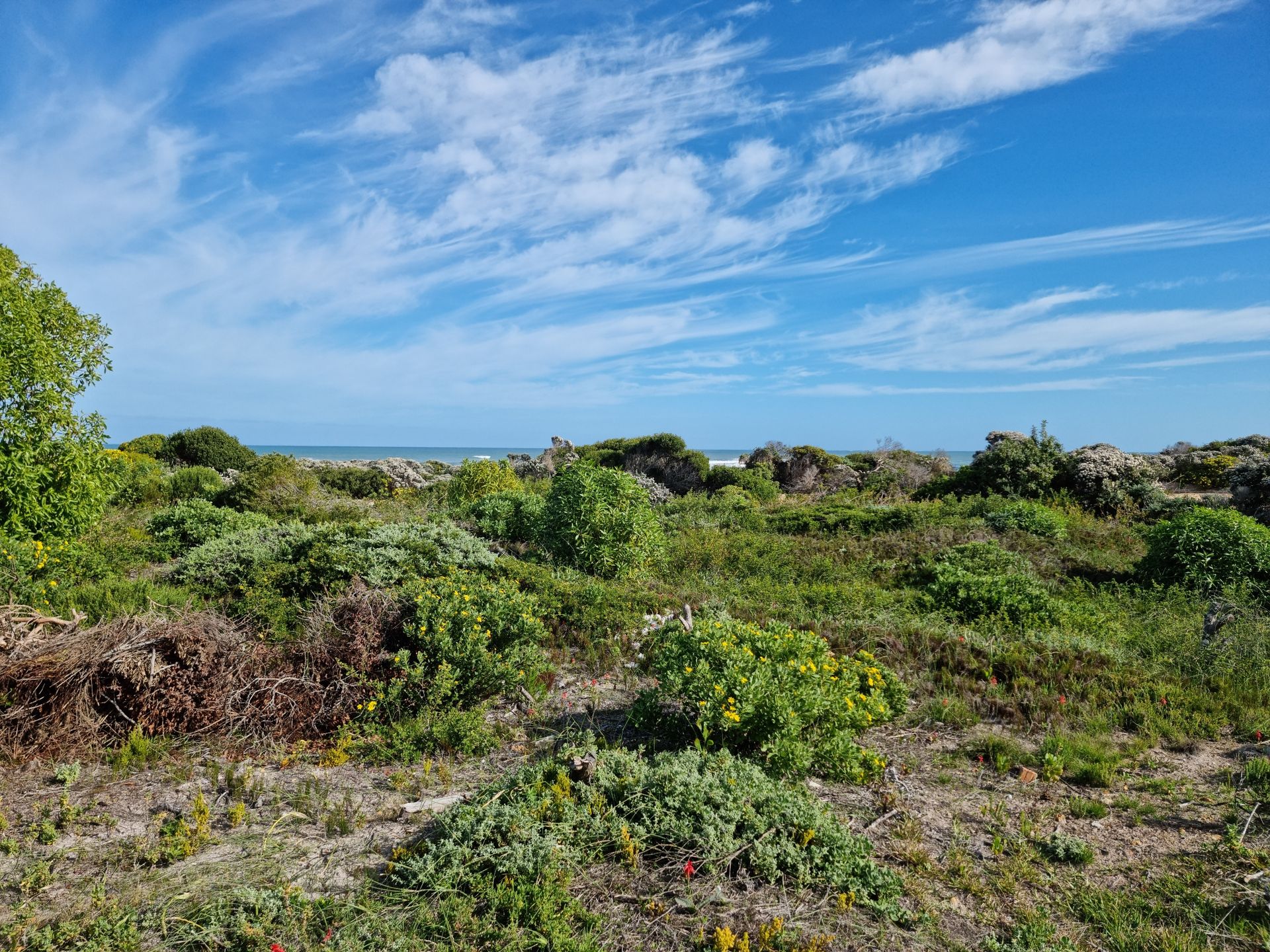 Land i Pearly Beach, Western Cape 11953230