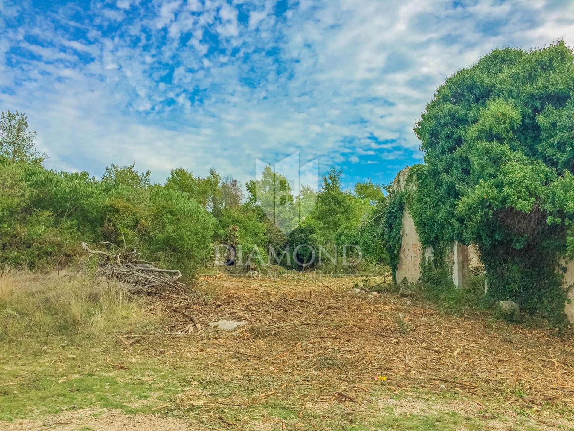 土地 在 Savudrija, Istria County 11953473