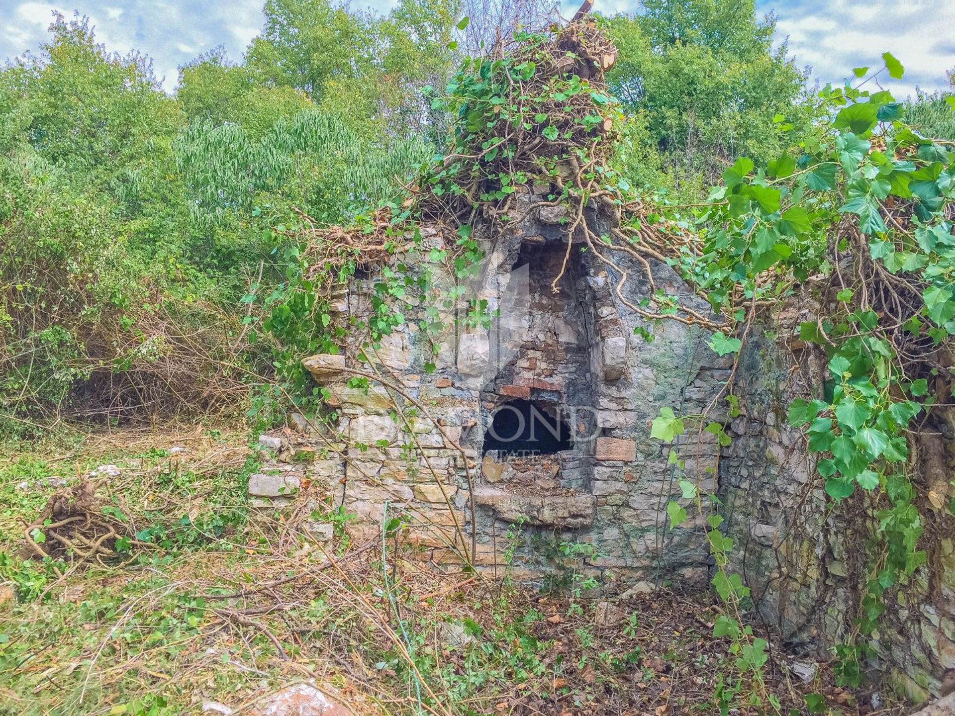 土地 在 Savudrija, Istria County 11953473