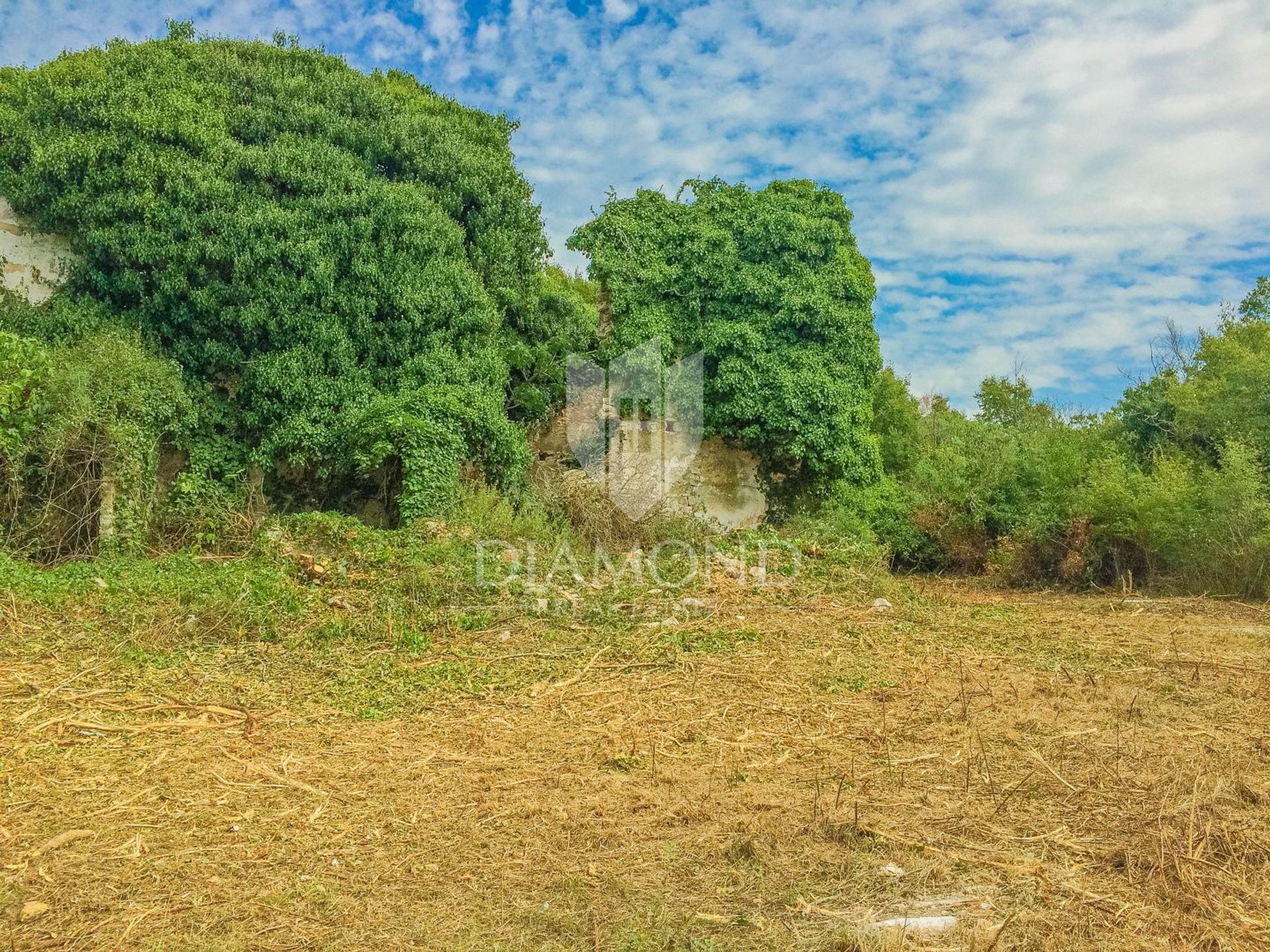 土地 在 Savudrija, Istria County 11953473