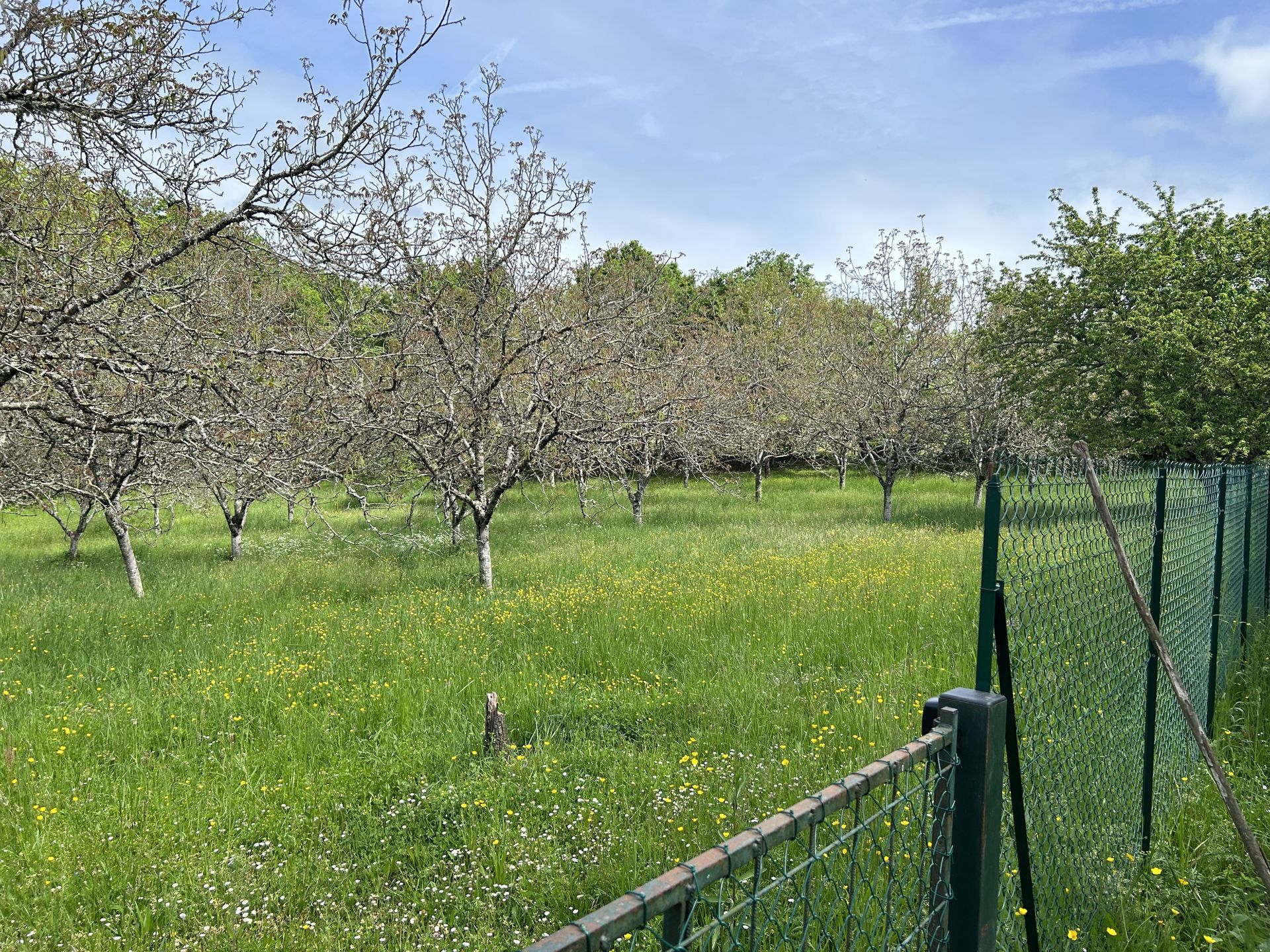 Huis in Saint-Cyprien, Nouvelle-Aquitaine 11954176