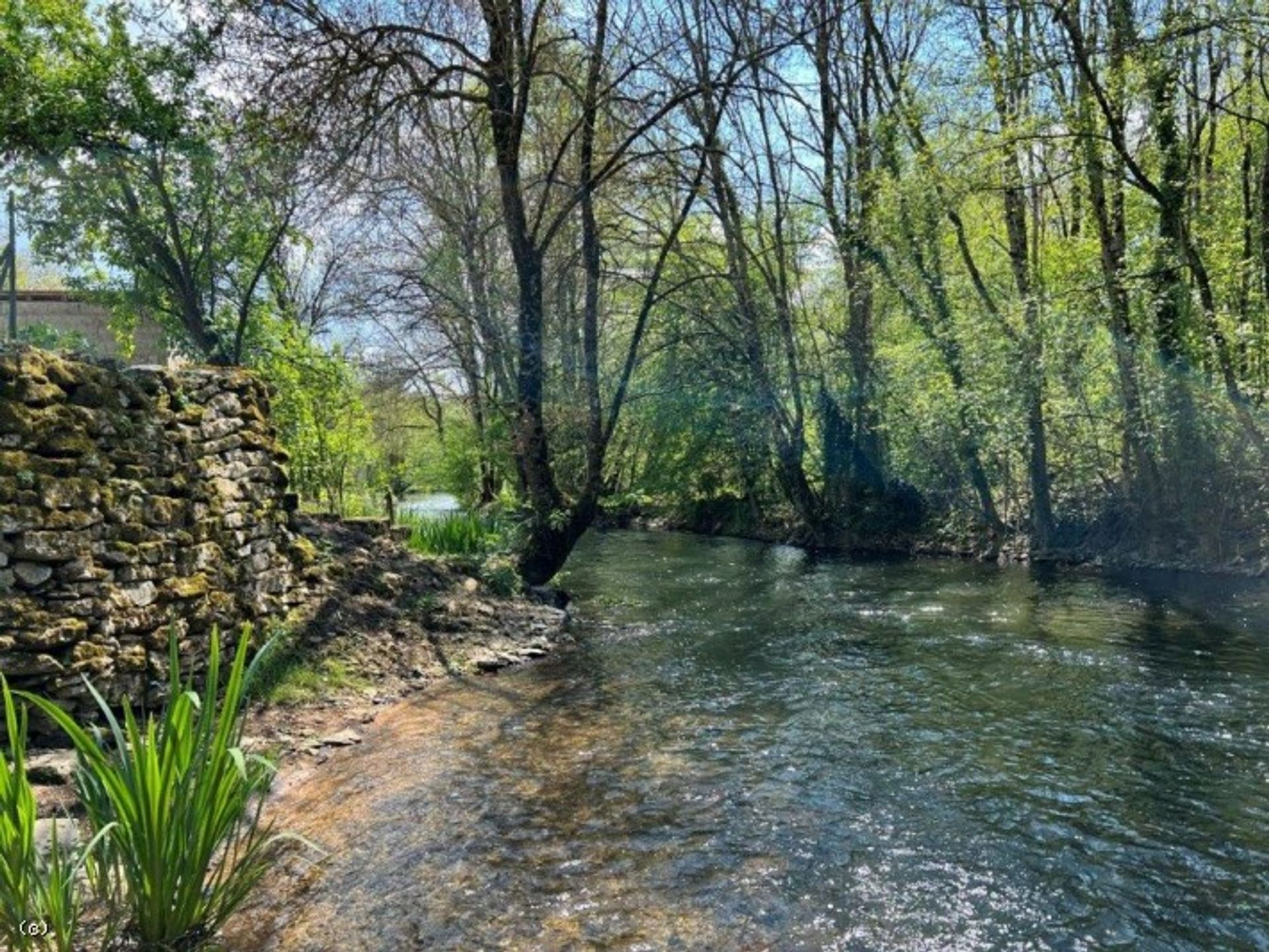 Casa nel Verteuil-sur-Charente, Nouvelle-Aquitaine 11954365