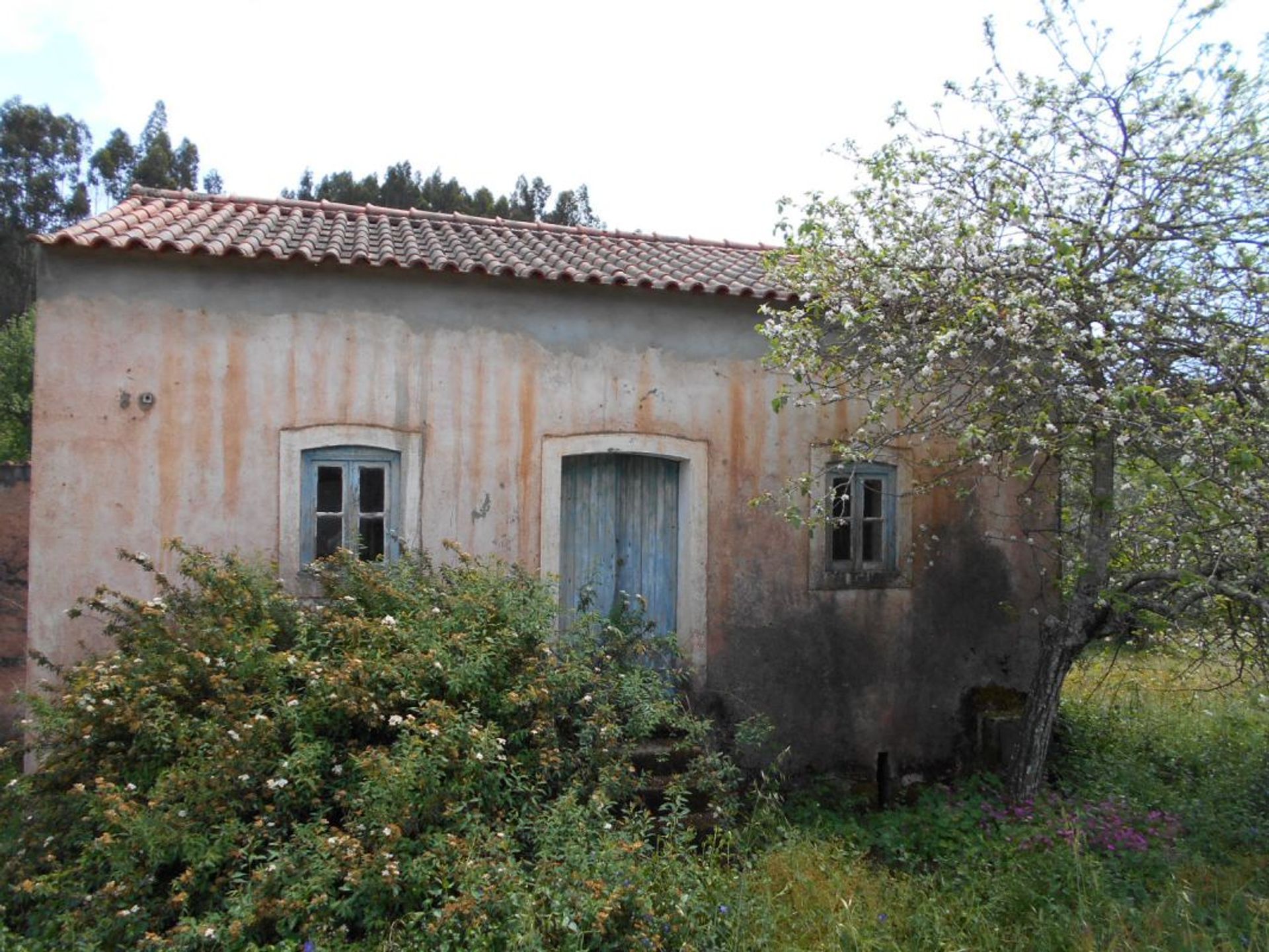 rumah dalam Alvaiazere, Leiria 11954420