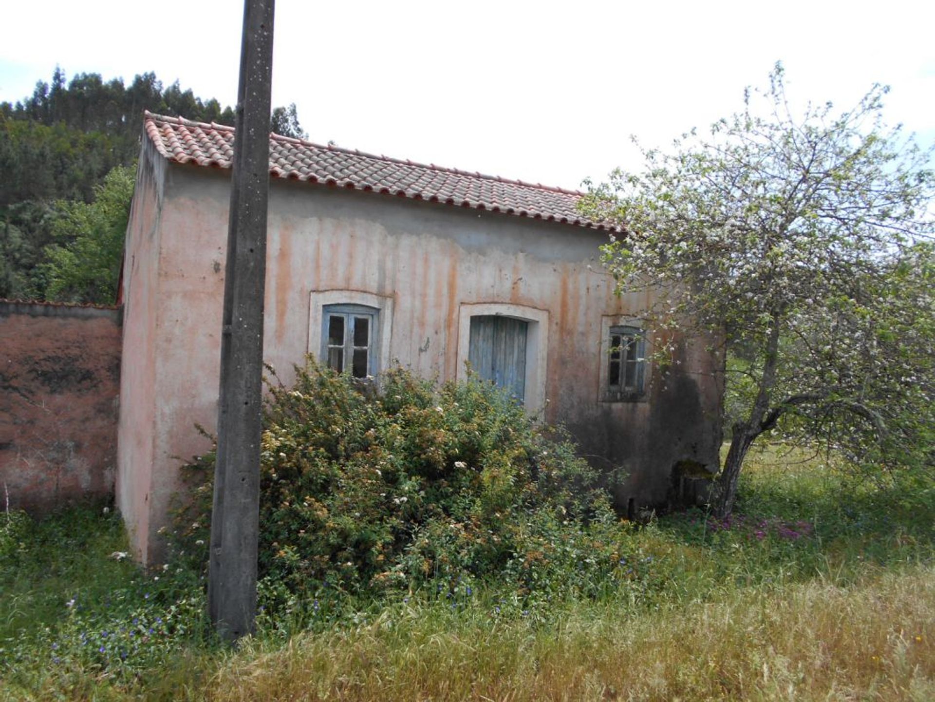 Hus i Alvaiazere, Leiria 11954420