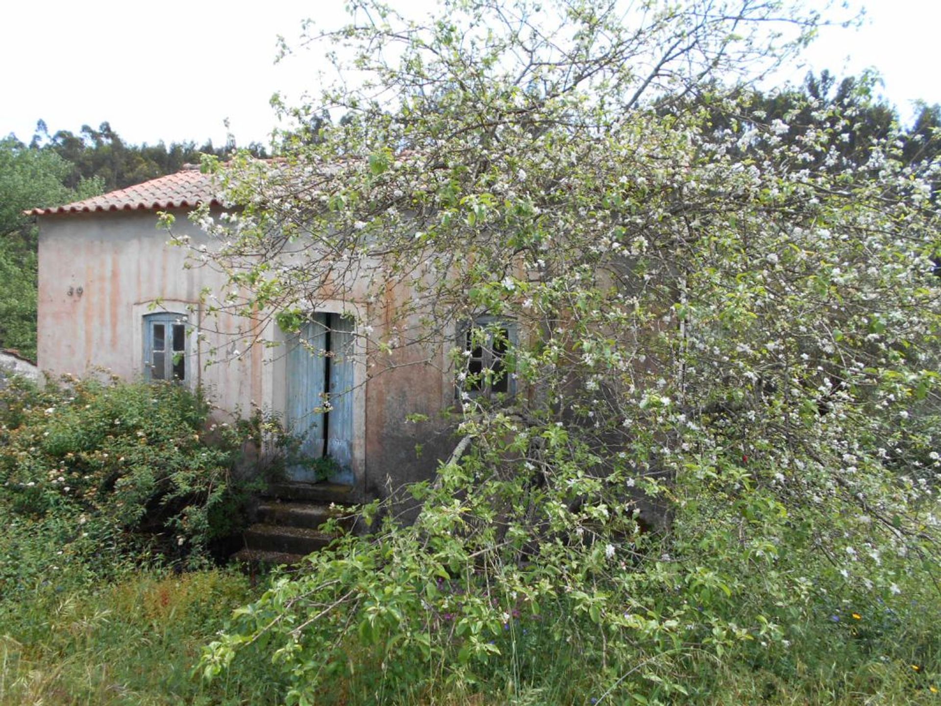 Casa nel Alvaiazere, Leiria 11954420