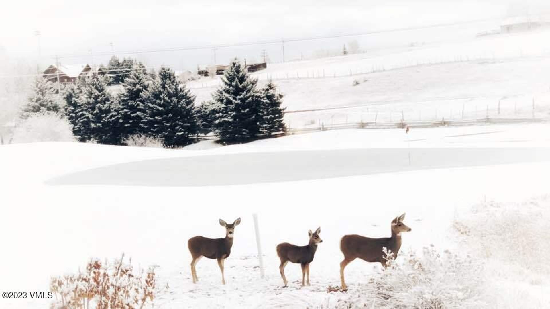 Mehrfamilienhaus im Gypsum, Colorado 11956555