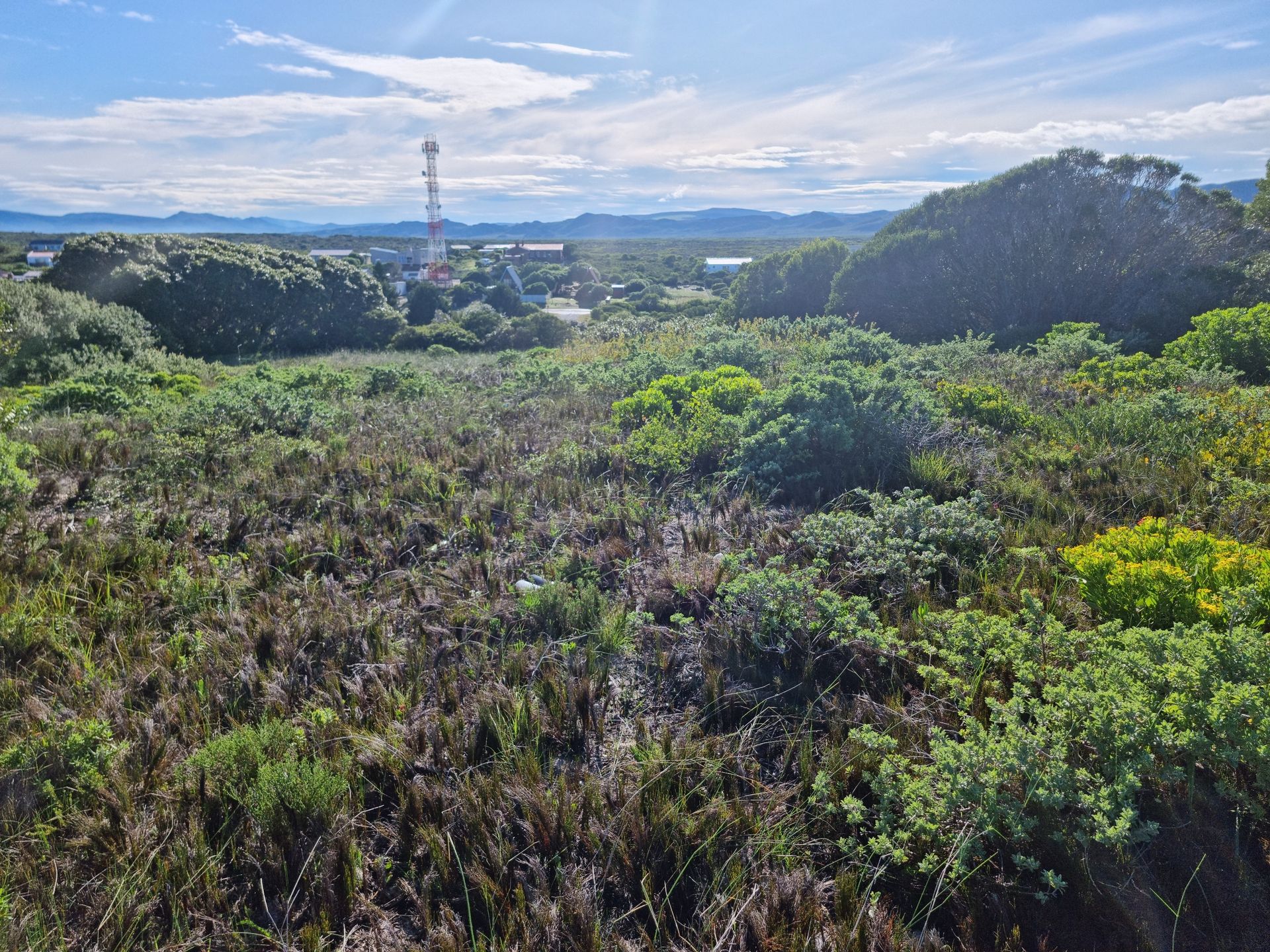 Land im Pearly Beach, Western Cape 11957313