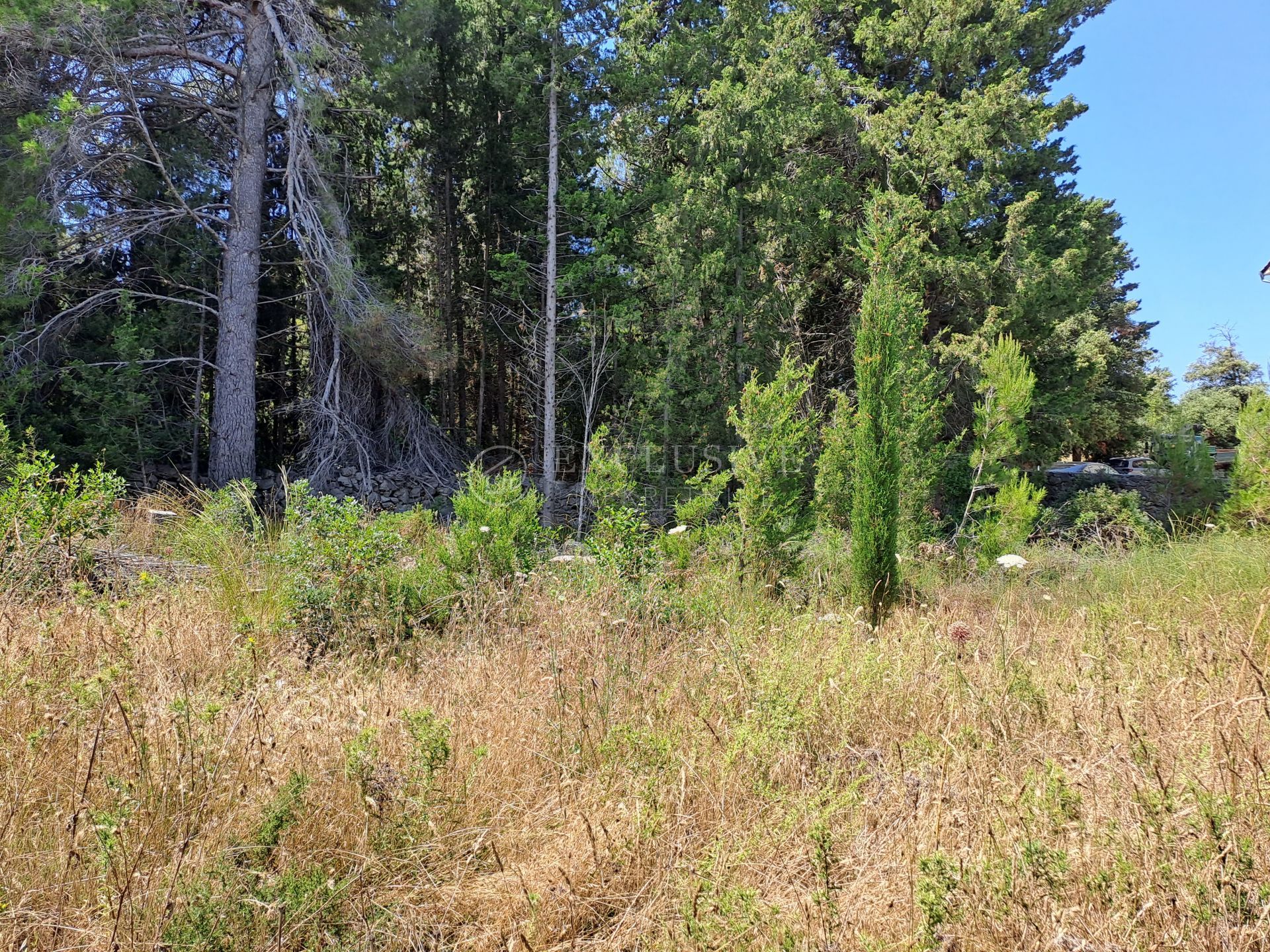 Land in Ždrelac, Zadar County 11957644