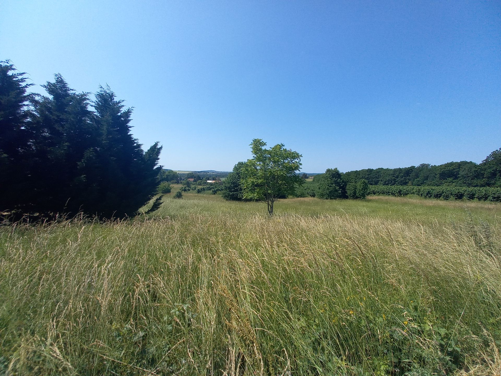 casa no Monflanquin, Nouvelle-Aquitaine 11957830