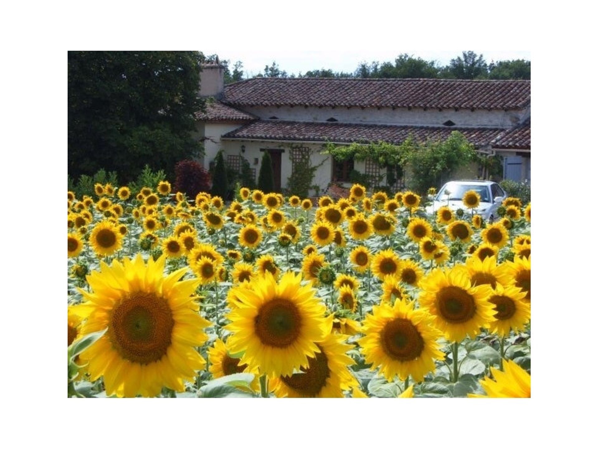 casa no Monflanquin, Nouvelle-Aquitaine 11957830