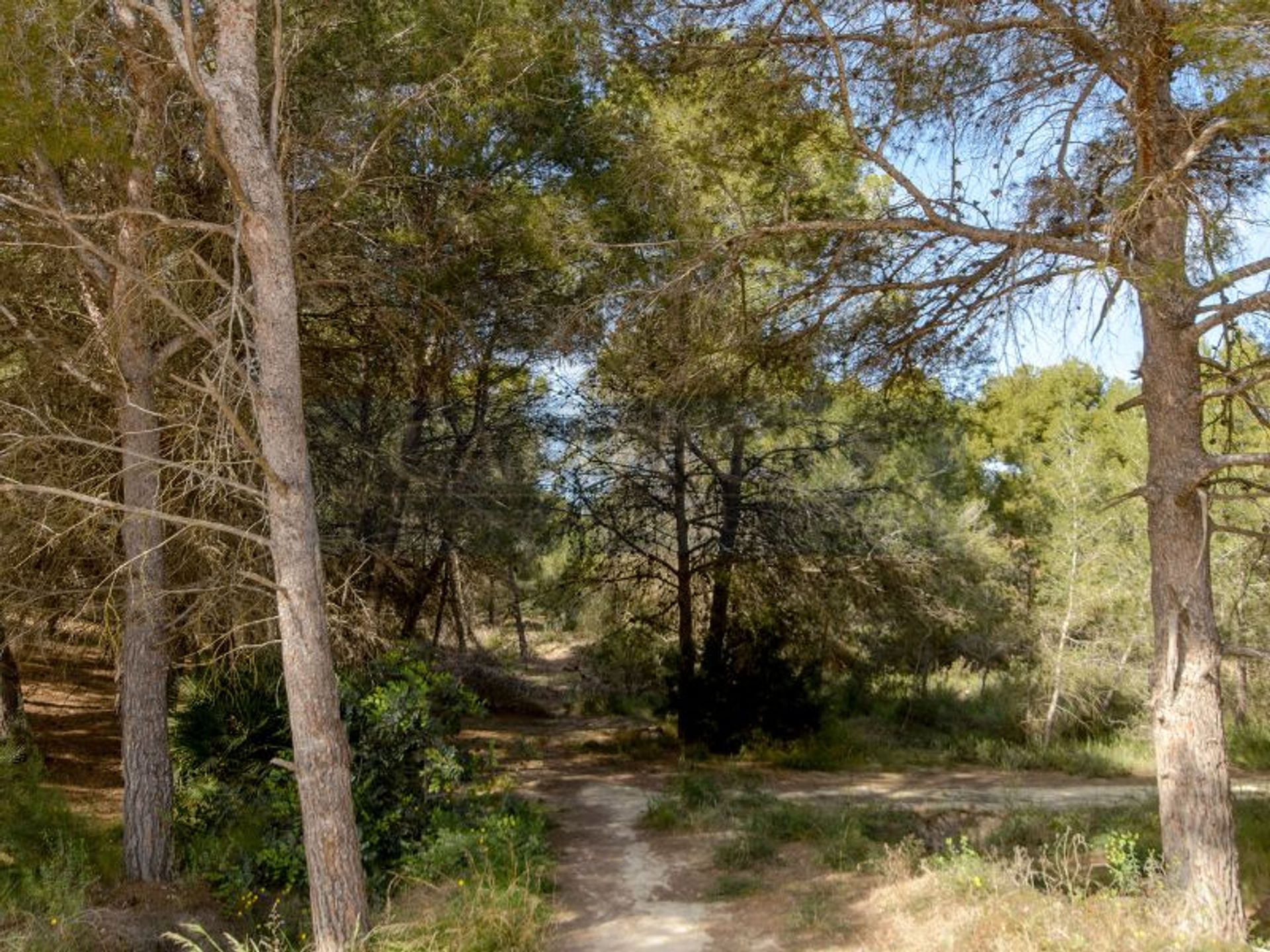 Talo sisään San Miguel de Salinas, Valencian Community 11958342