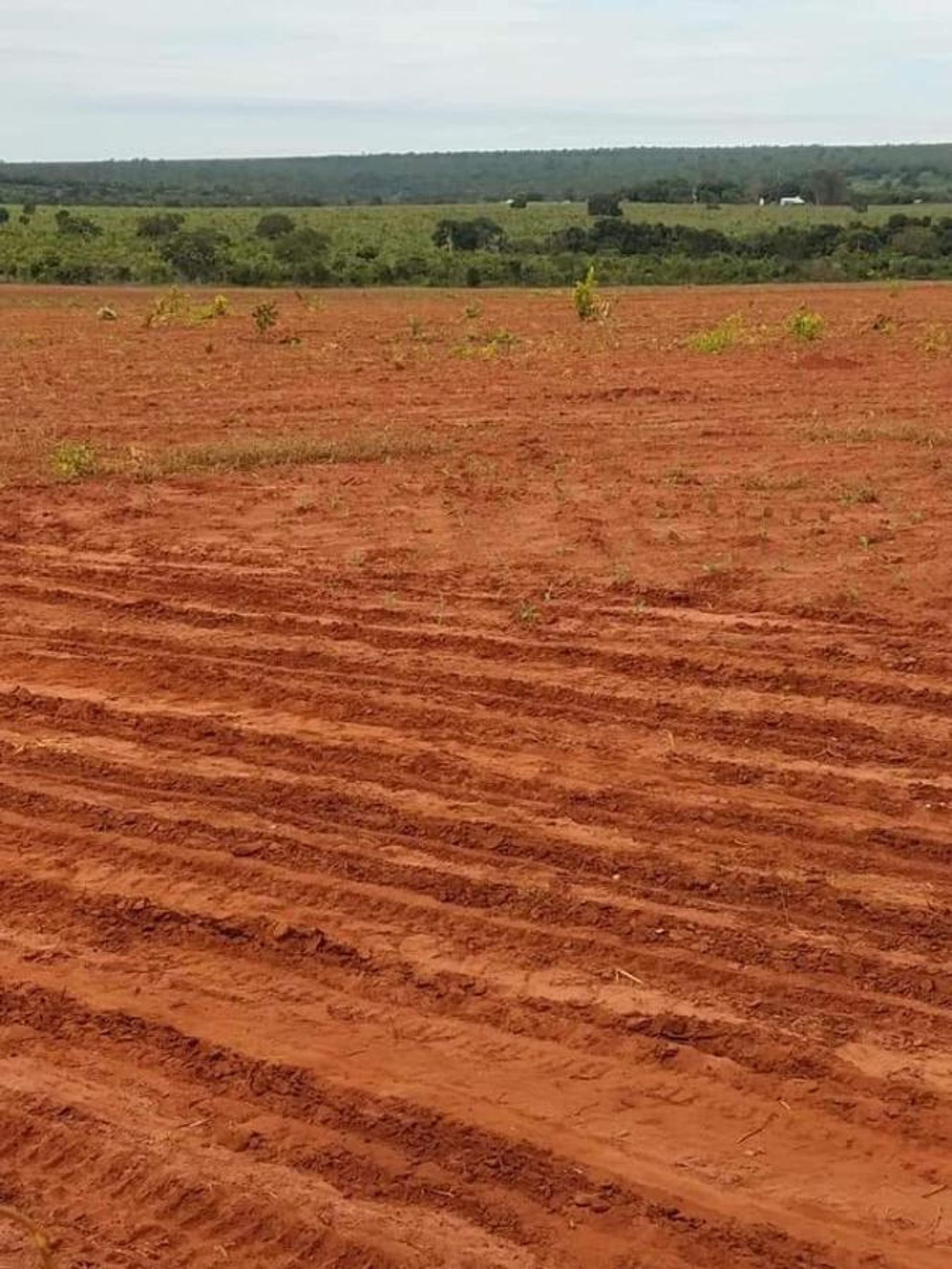 其他 在 Barra do Garças, State of Mato Grosso 11959644