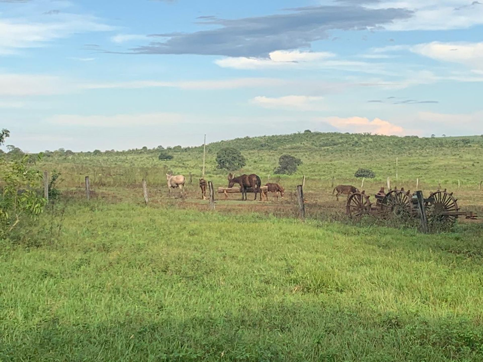 Other in Barra do Garças, State of Mato Grosso 11959644