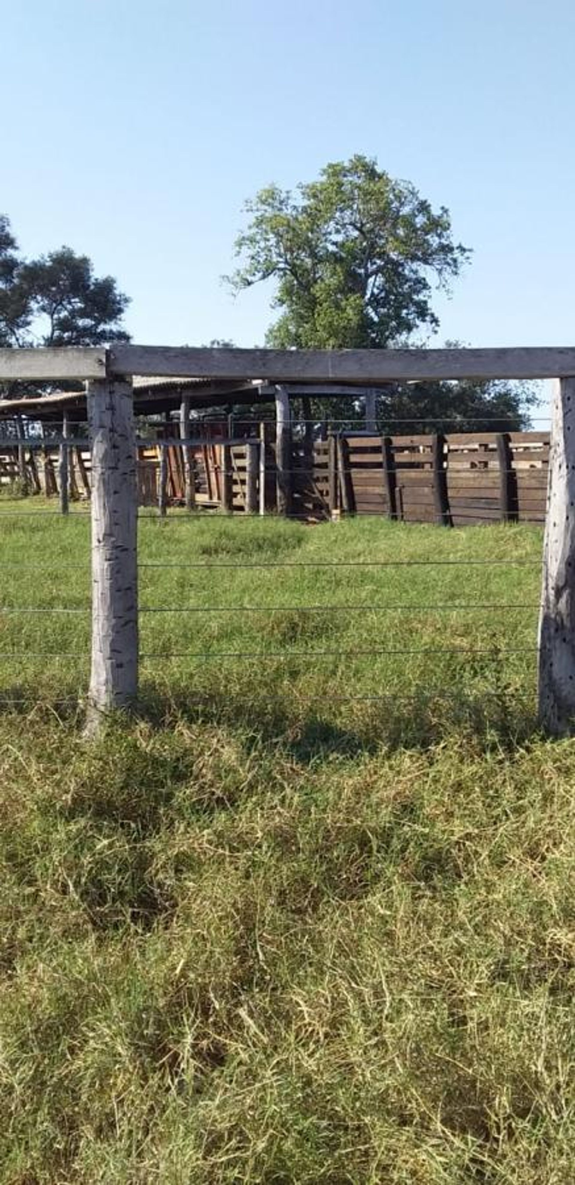 Otro en Varzea Grande, Mato Grosso 11959646