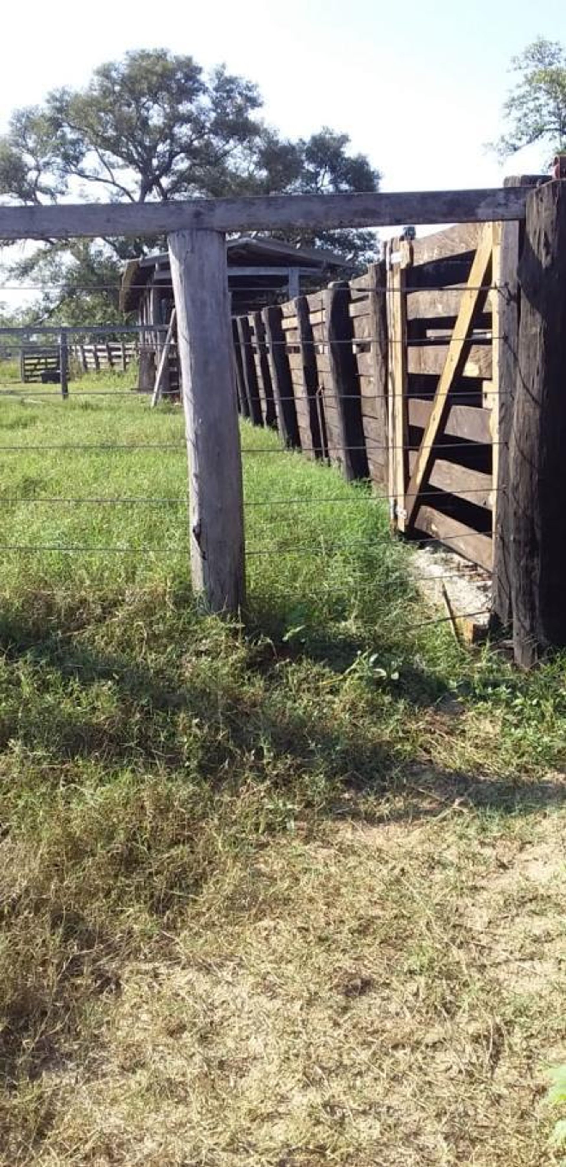 Otro en Varzea Grande, Mato Grosso 11959646