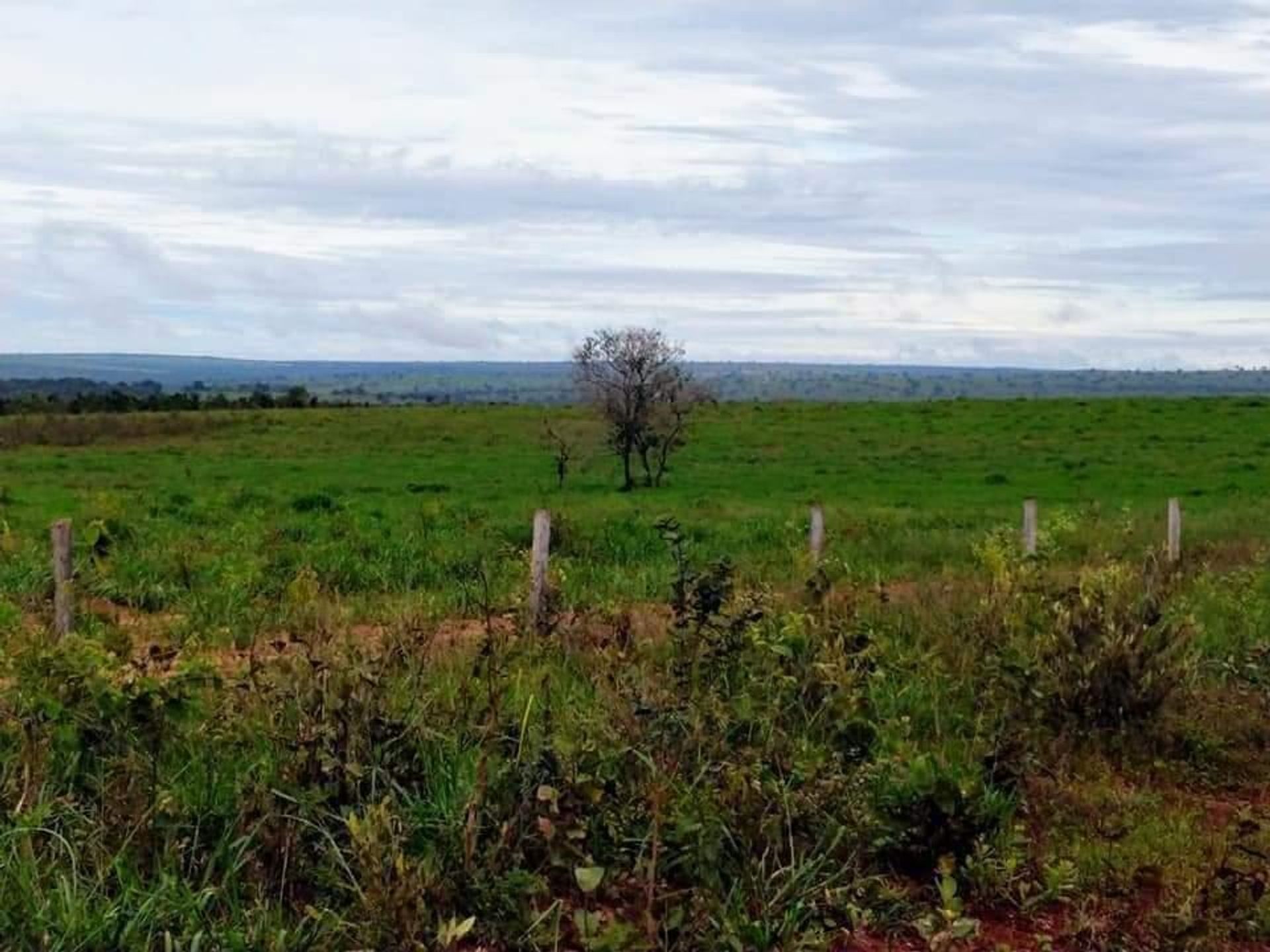 Autre dans Barra do Garças, Mato Grosso 11959649