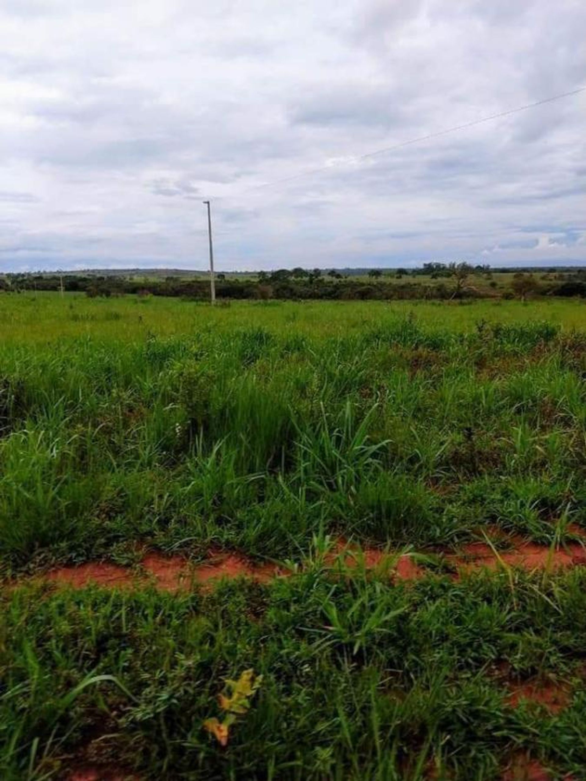 Yang lain dalam Barra do Garças, State of Mato Grosso 11959649