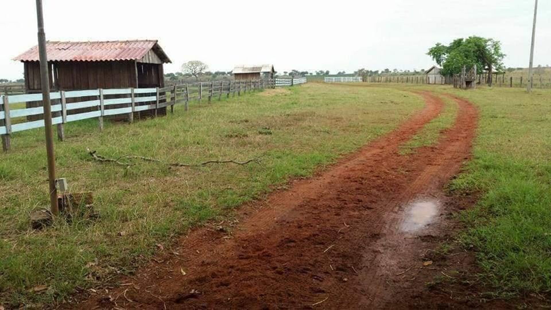 Andere in Barra do Garcas, Mato Grosso 11959649