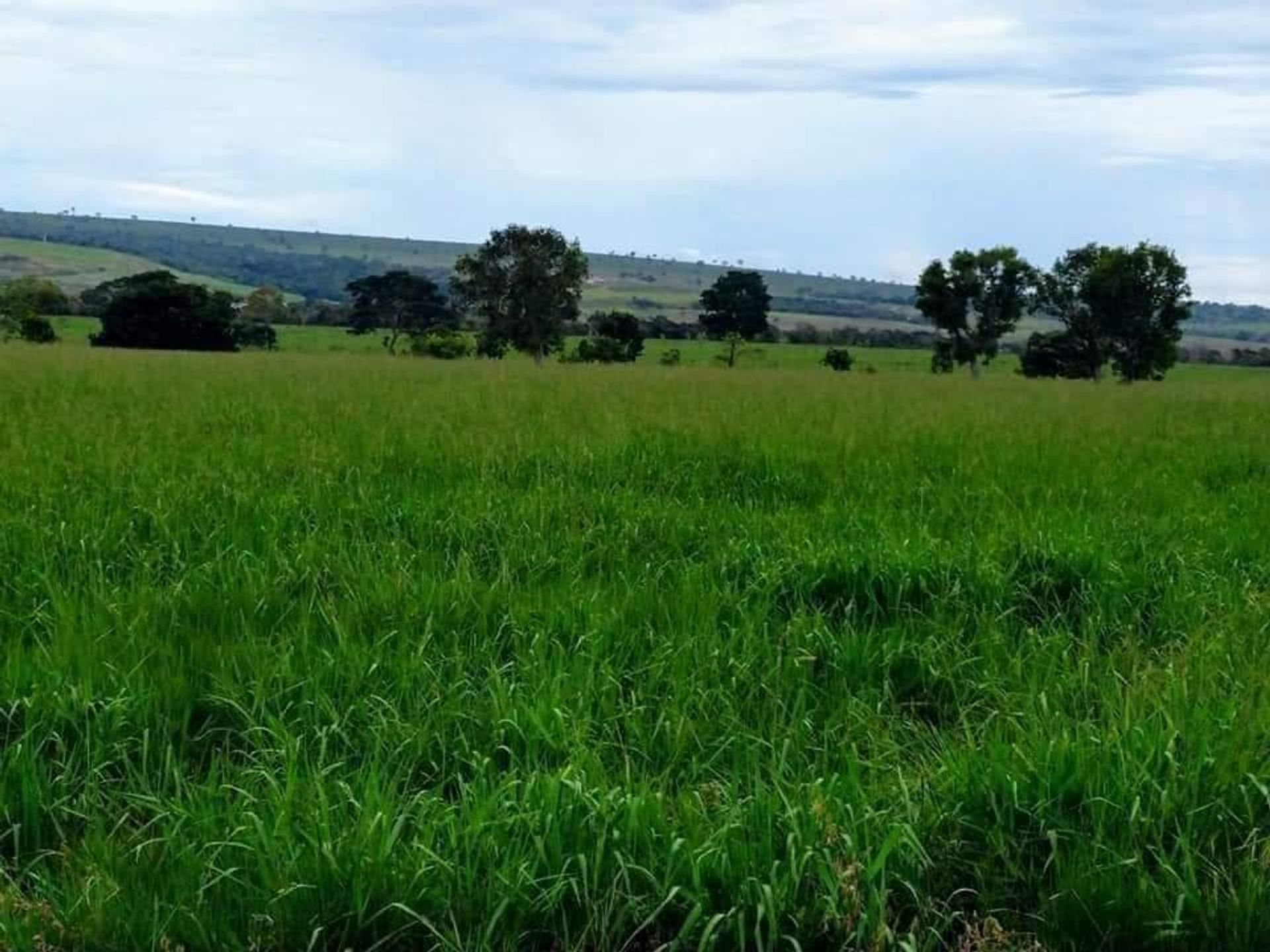 Andet i Barra do Garças, State of Mato Grosso 11959649