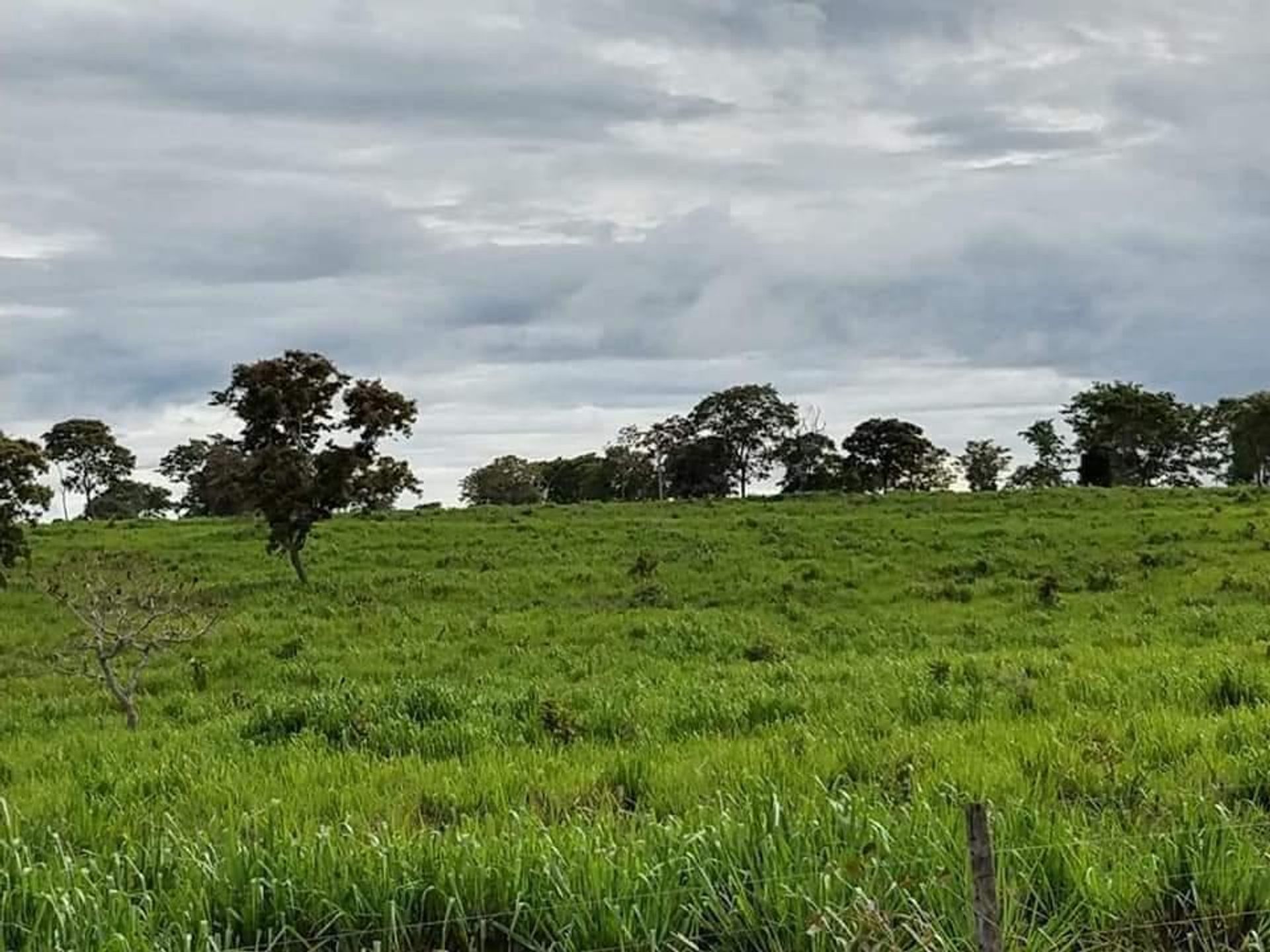 אַחֵר ב Barra do Garças, State of Mato Grosso 11959649