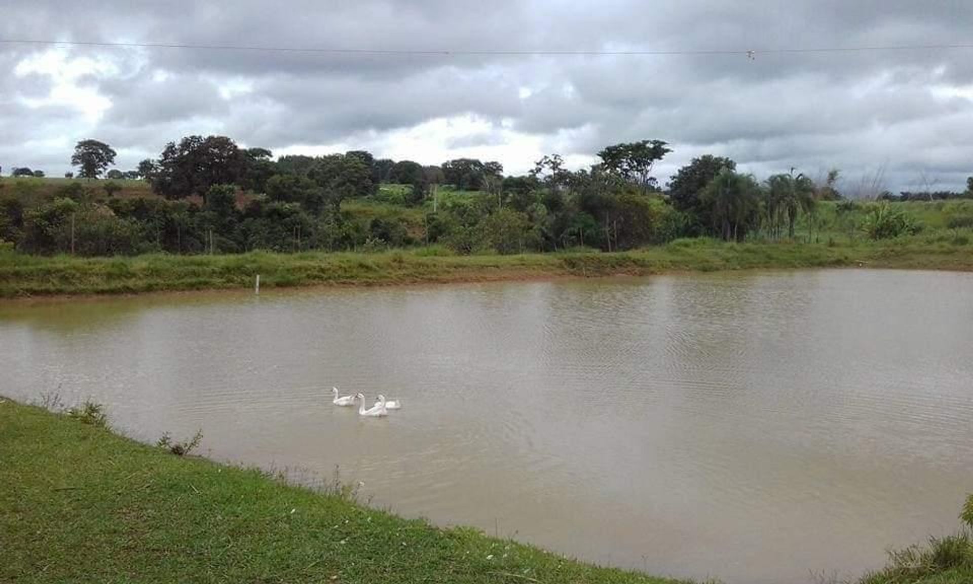 Yang lain dalam Barra do Garças, State of Mato Grosso 11959649