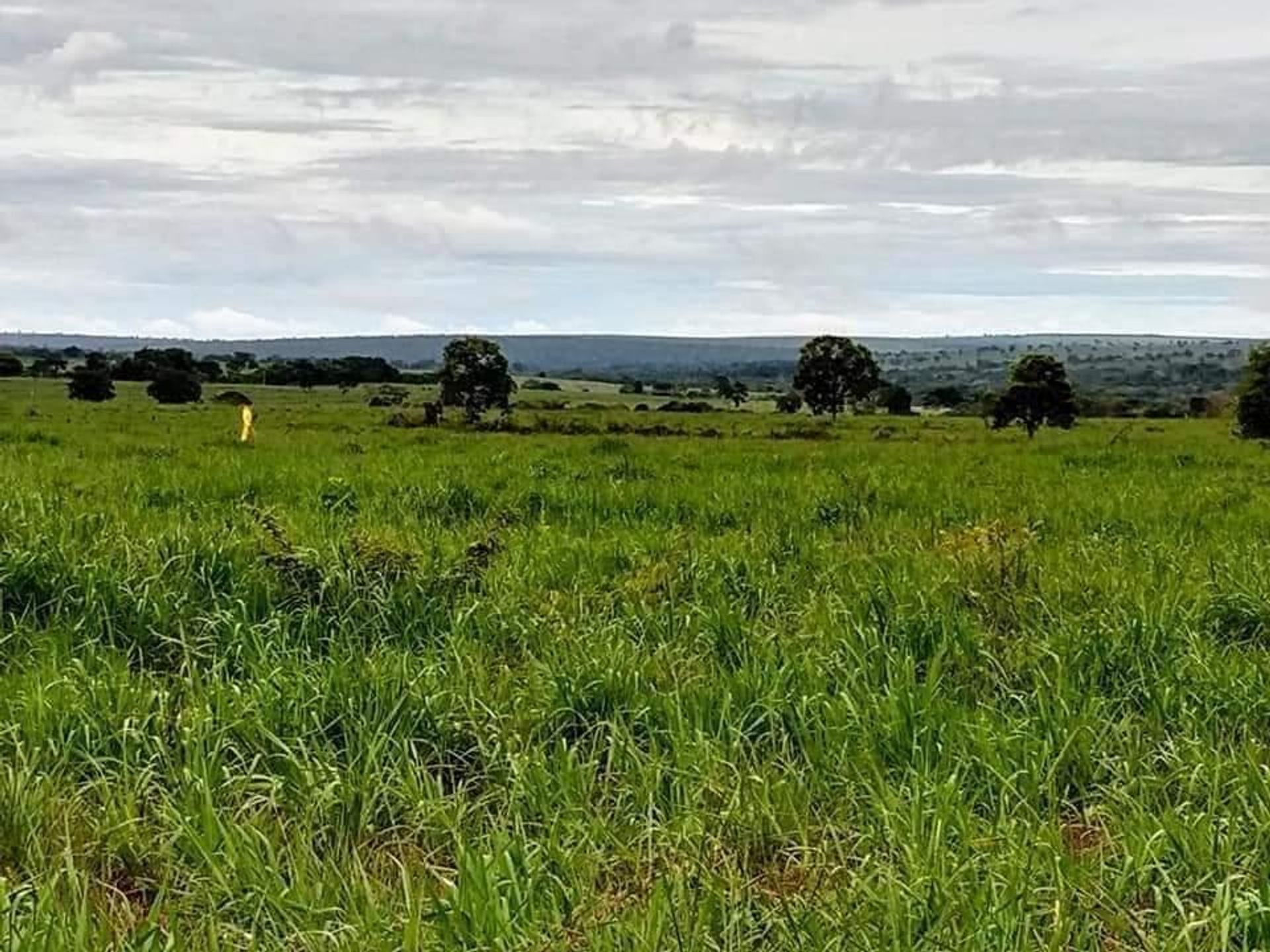 אַחֵר ב Barra do Garças, State of Mato Grosso 11959649