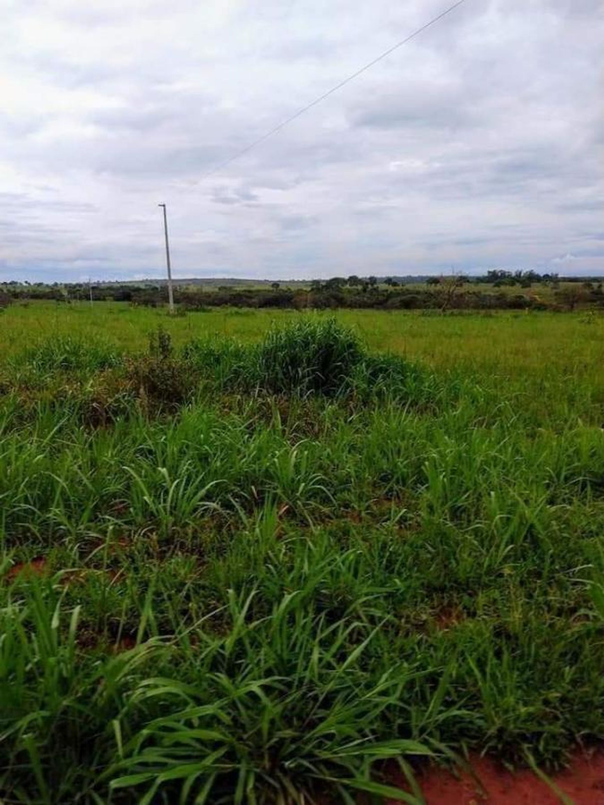 Other in Barra do Garças, State of Mato Grosso 11959649