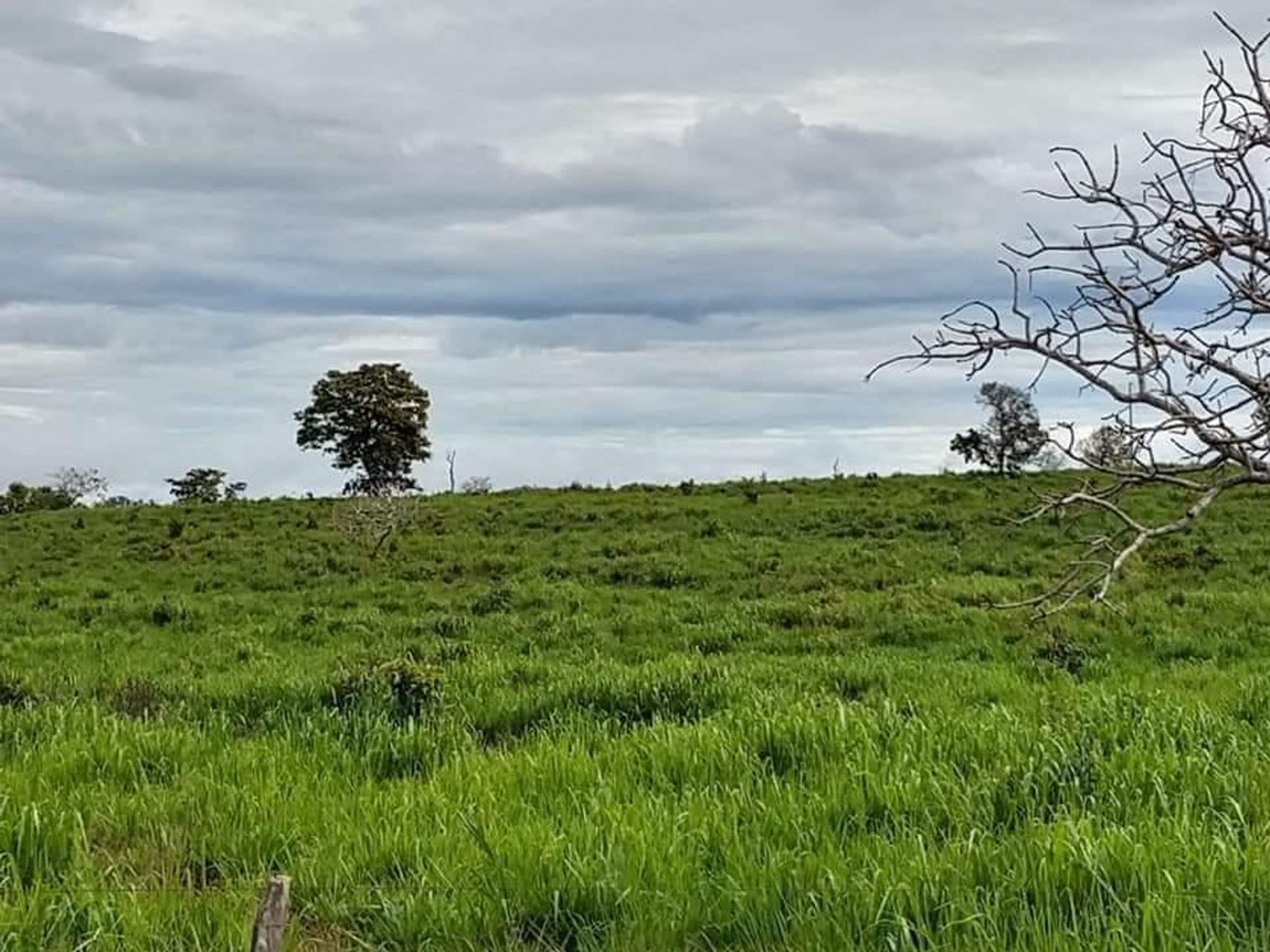 אַחֵר ב Barra do Garças, State of Mato Grosso 11959649