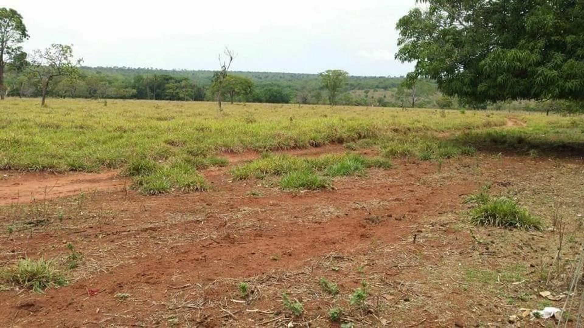 אַחֵר ב Barra do Garças, State of Mato Grosso 11959649