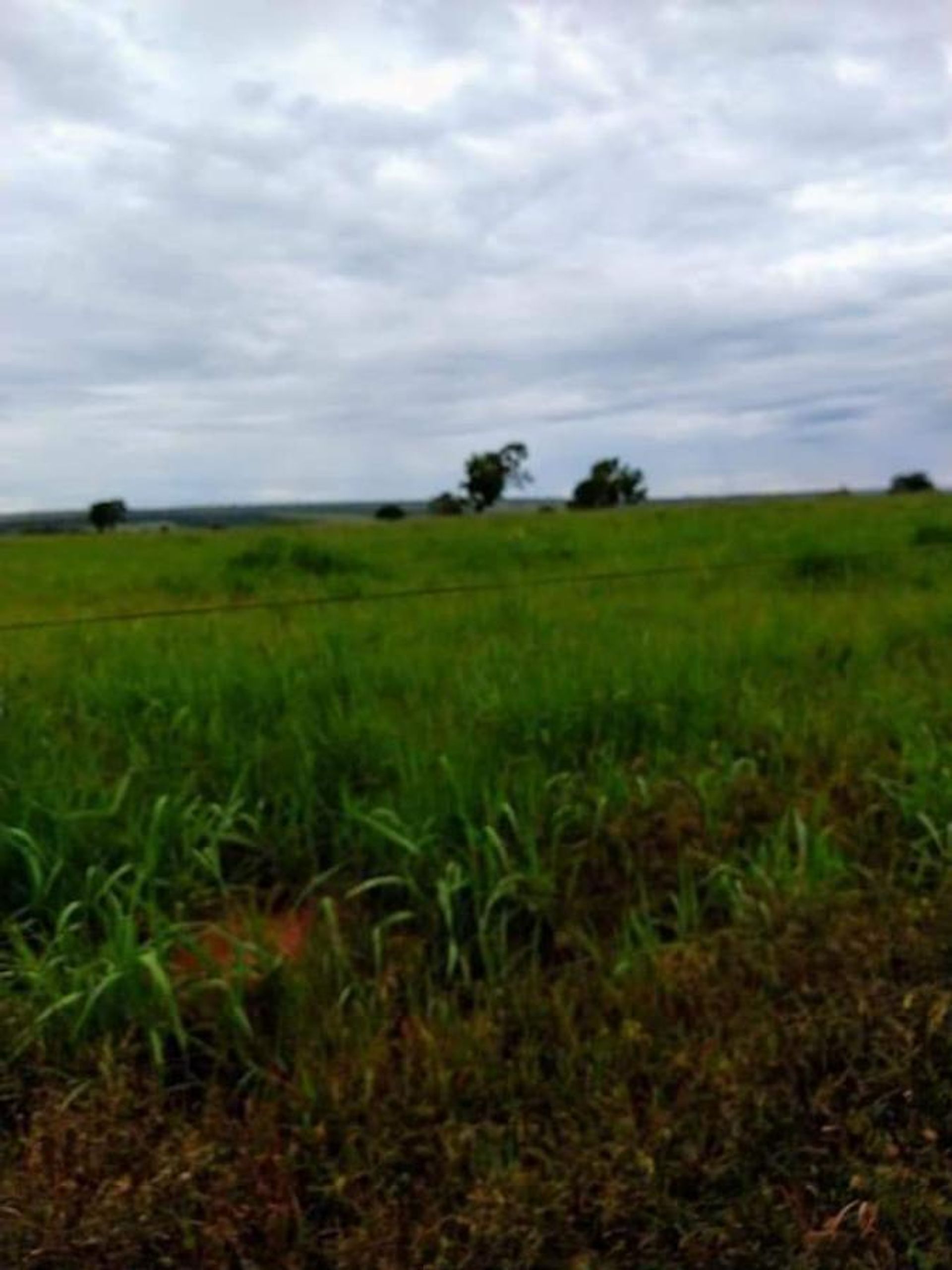 אַחֵר ב Barra do Garças, State of Mato Grosso 11959649