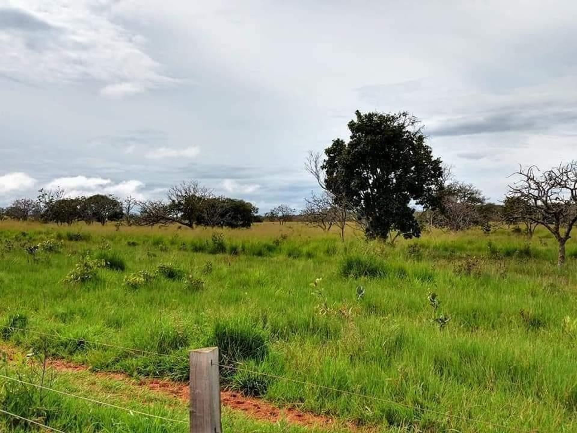 אַחֵר ב Barra do Garças, State of Mato Grosso 11959649