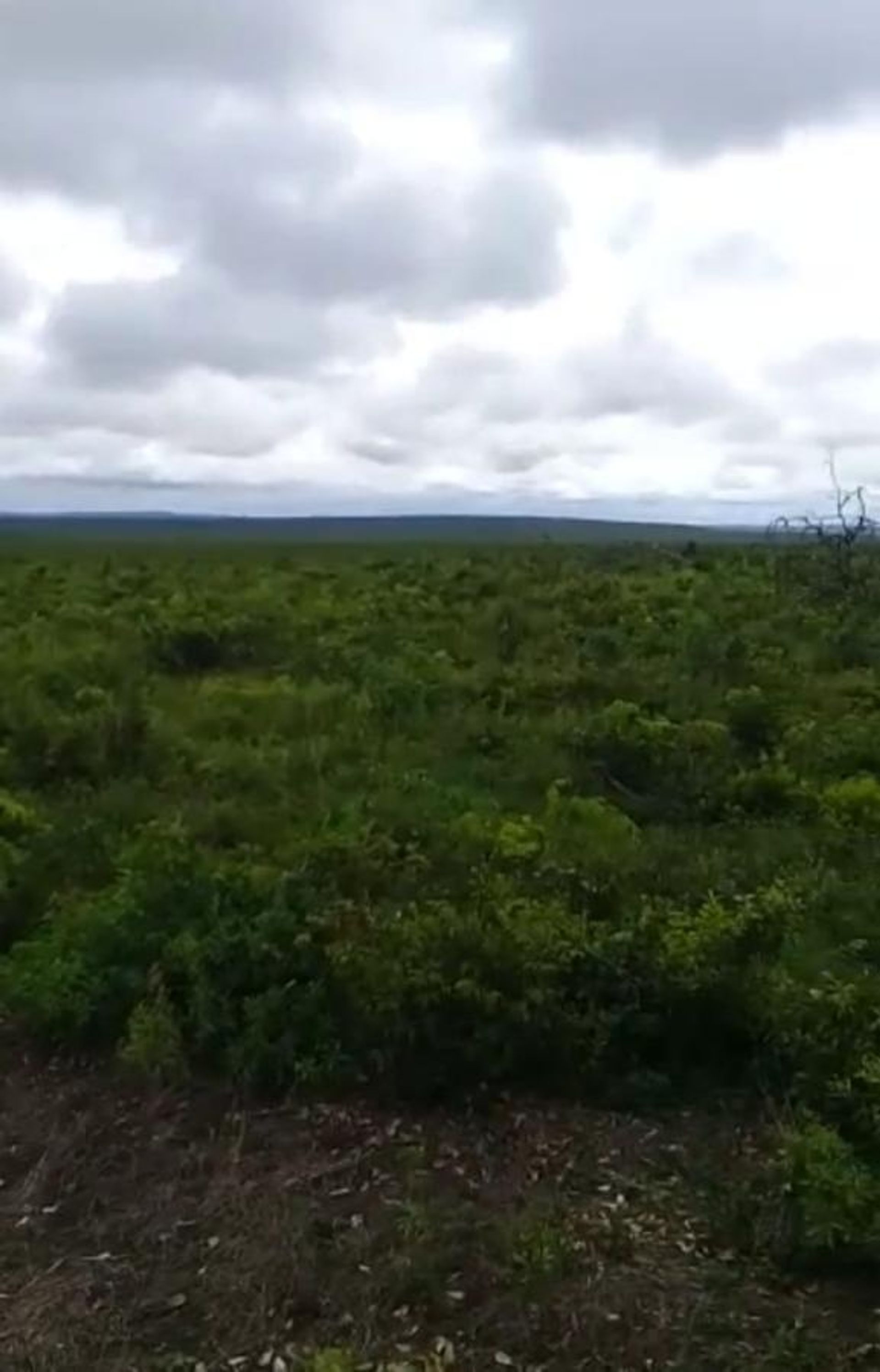 Autre dans Colonia Merure, Mato Grosso 11959650