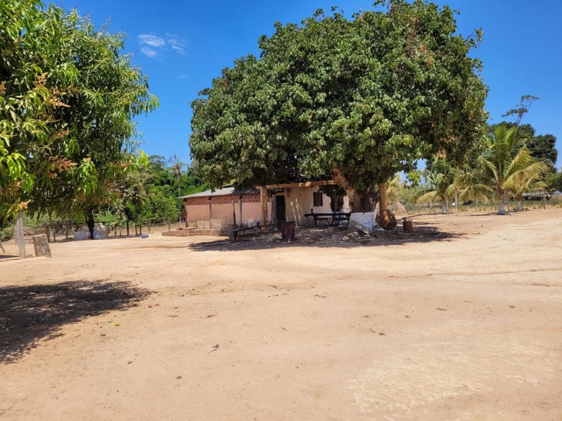 Αλλα σε Sao Felix do Araguaia, Μάτο Γκρόσο 11959652