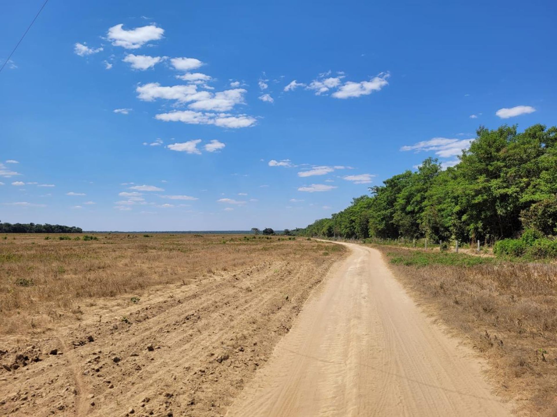 Muu sisään , State of Mato Grosso 11959652