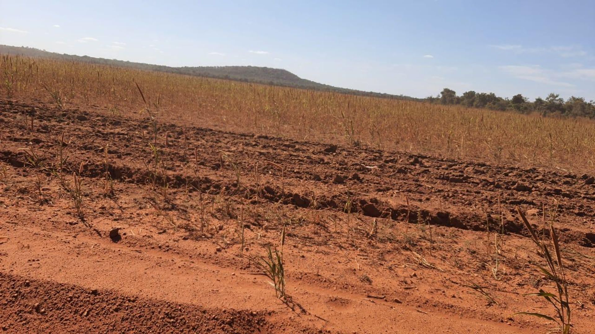 Autre dans Nova Xavantina, Mato Grosso 11959653