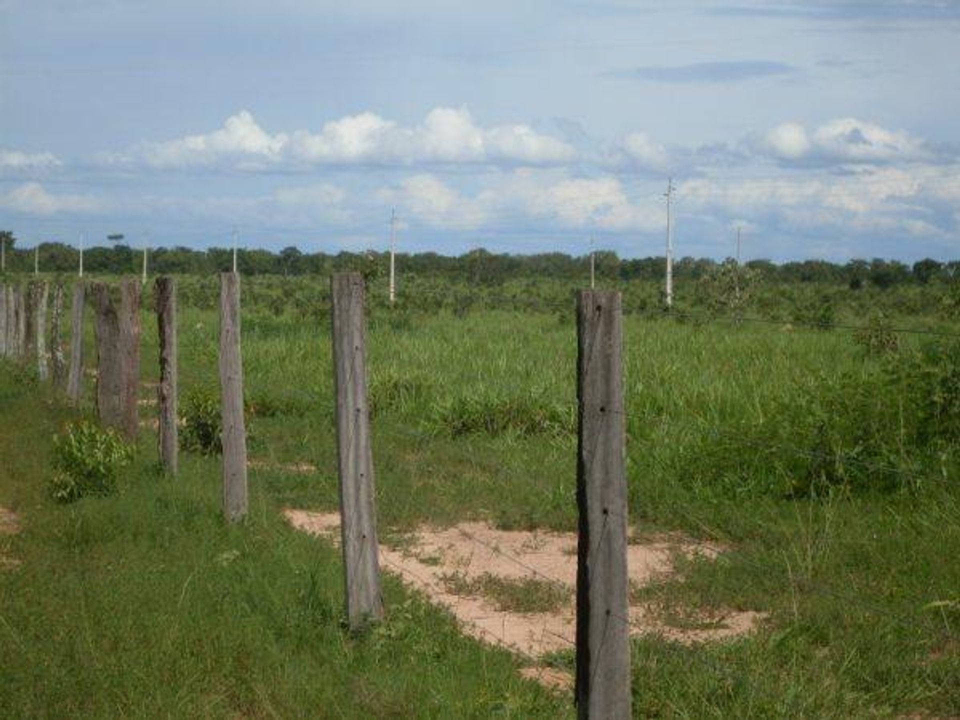 Other in Nova Xavantina, State of Mato Grosso 11959653