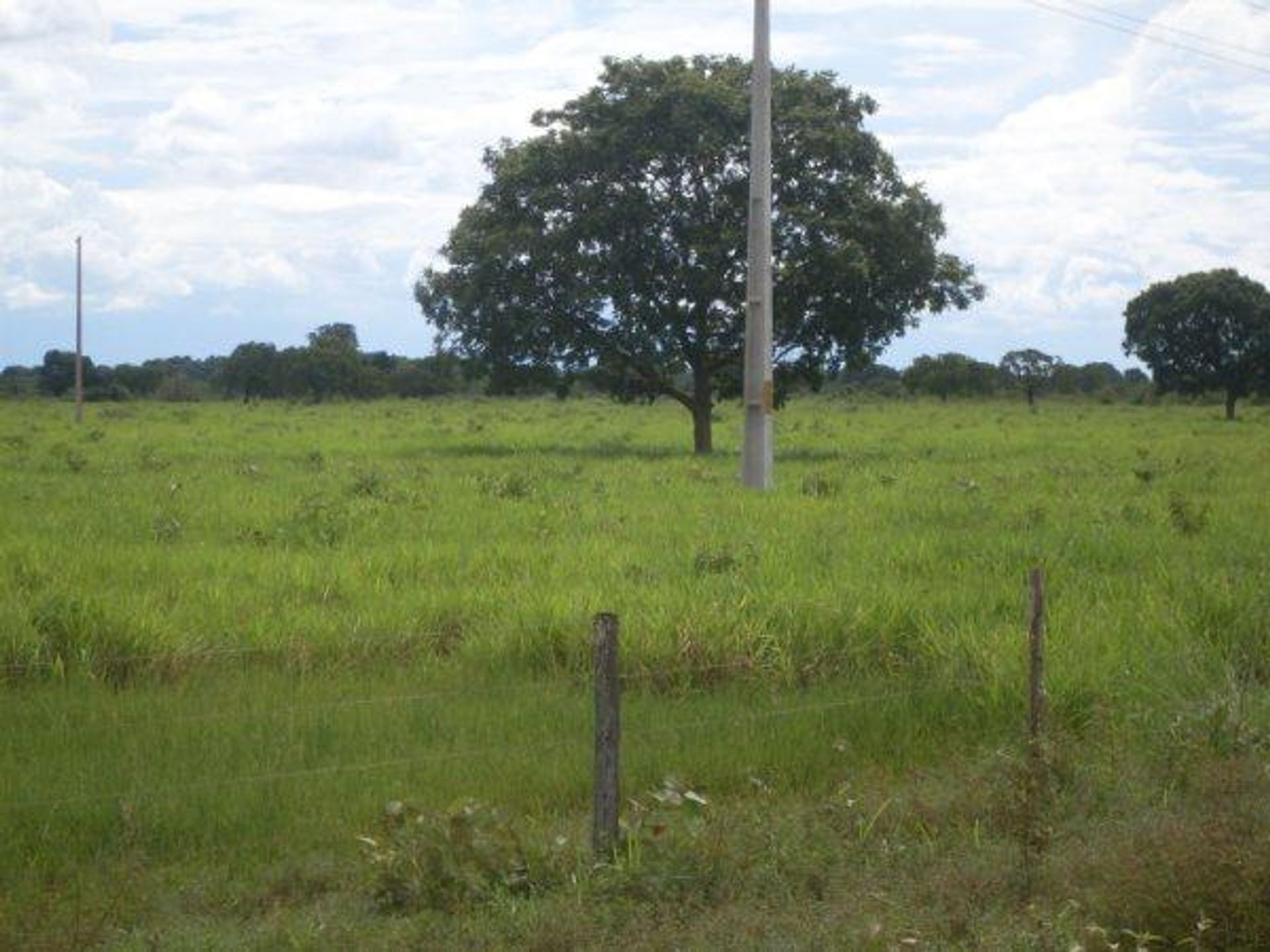 Other in Nova Xavantina, State of Mato Grosso 11959653