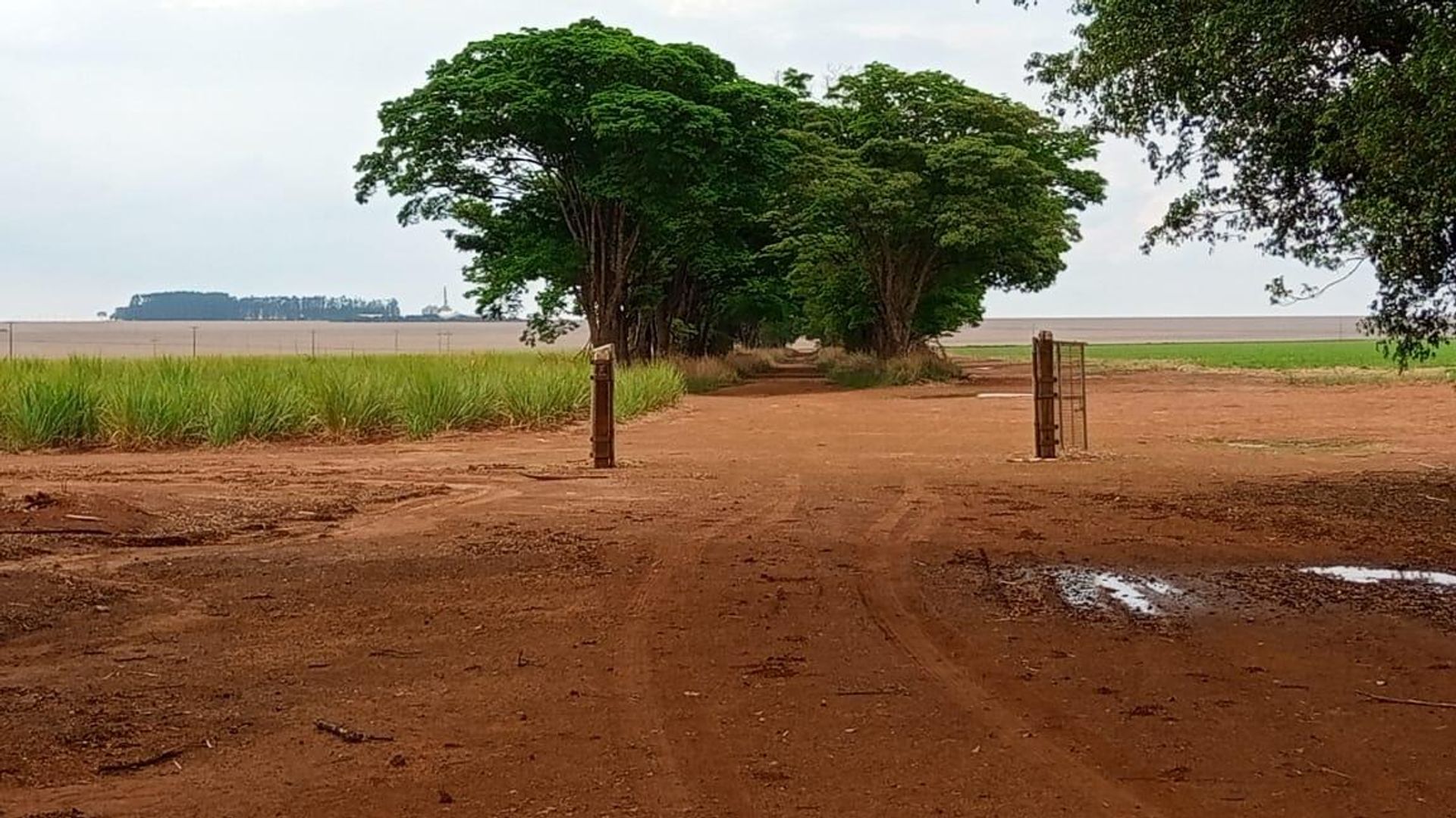 其他 在 , State of Mato Grosso 11959654