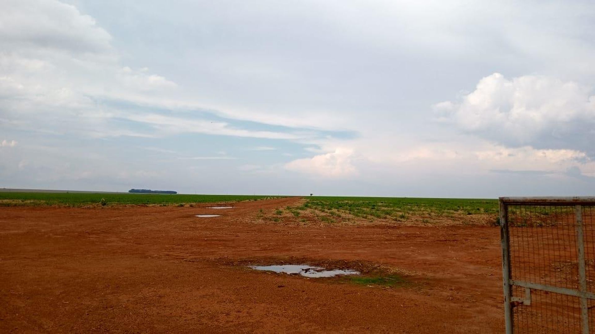 其他 在 , State of Mato Grosso 11959654