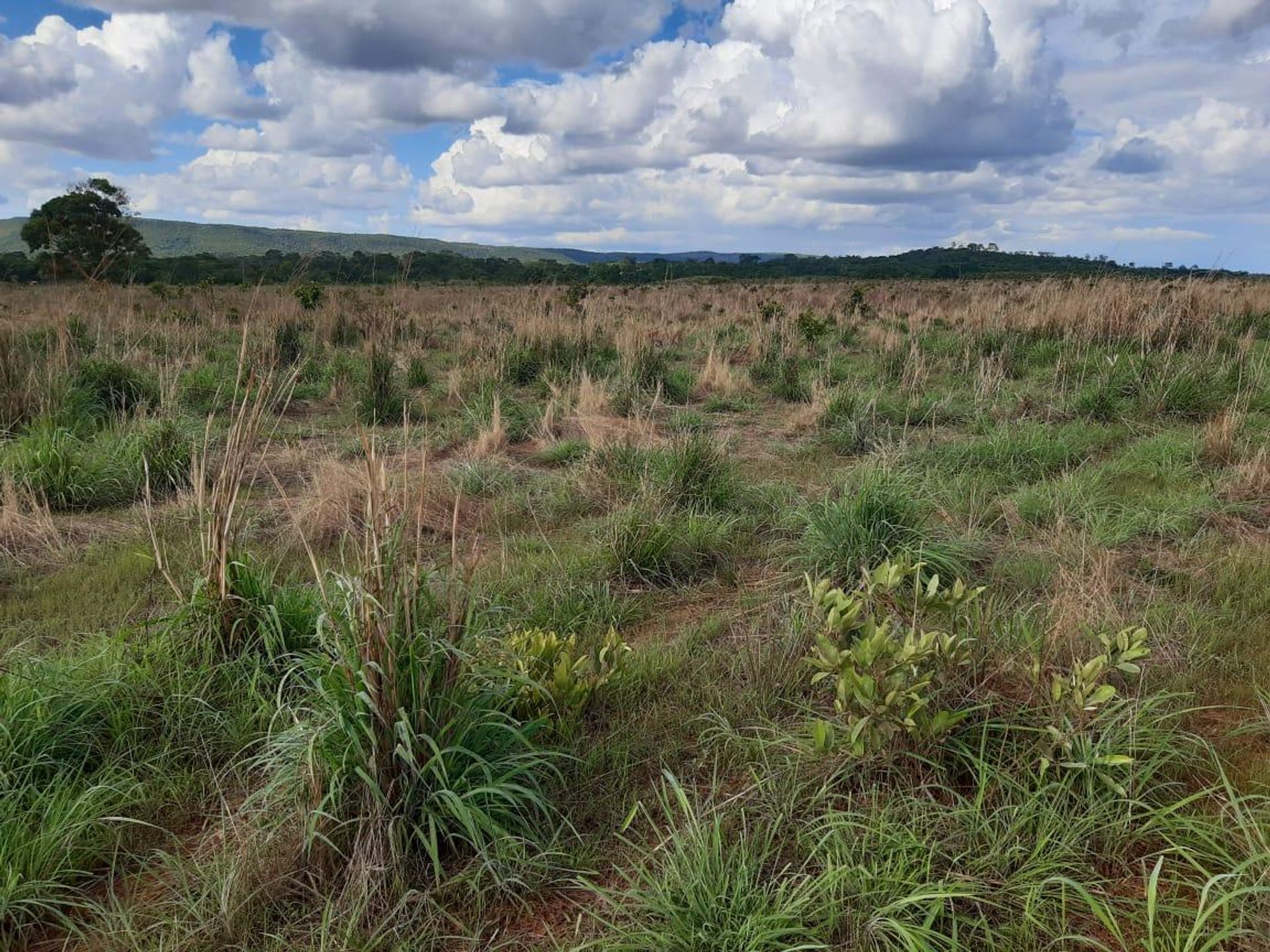 Autre dans Planalto da Serra, Mato Grosso 11959655